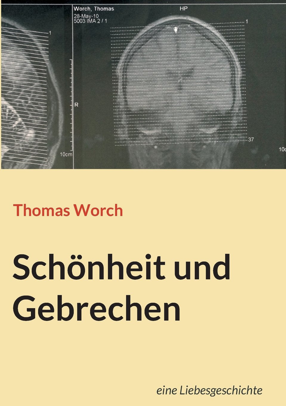 Schönheit und Gebrechen: Roman Contemporary literature