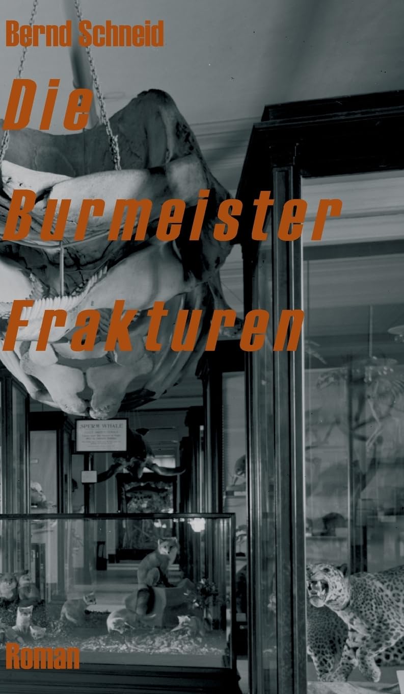 Die Burmeister Frakturen: Roman Contemporary literature