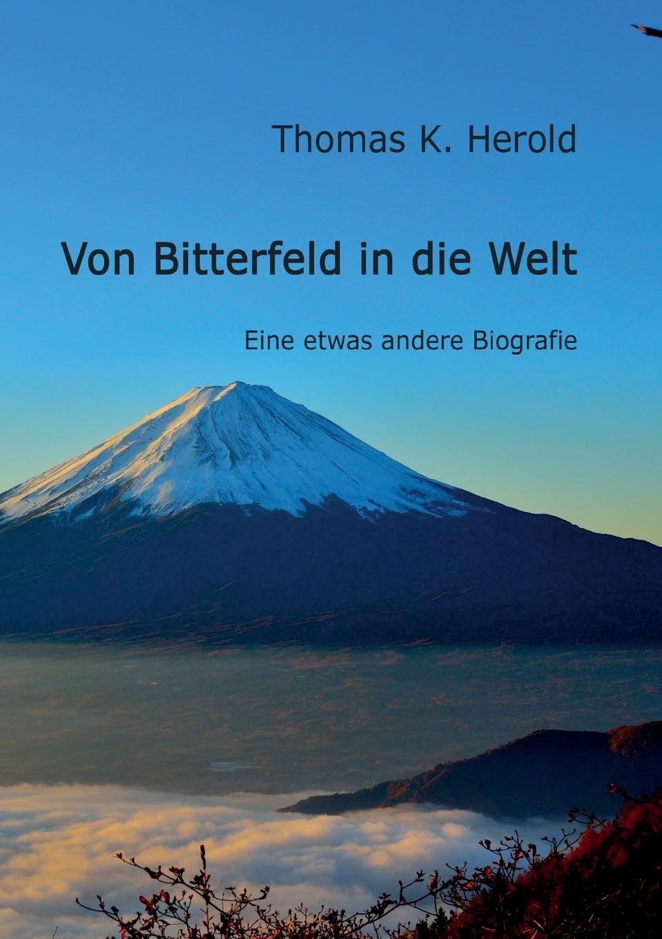 Von Bitterfeld in die Welt: Eine etwas andere Biografie Contemporary literature