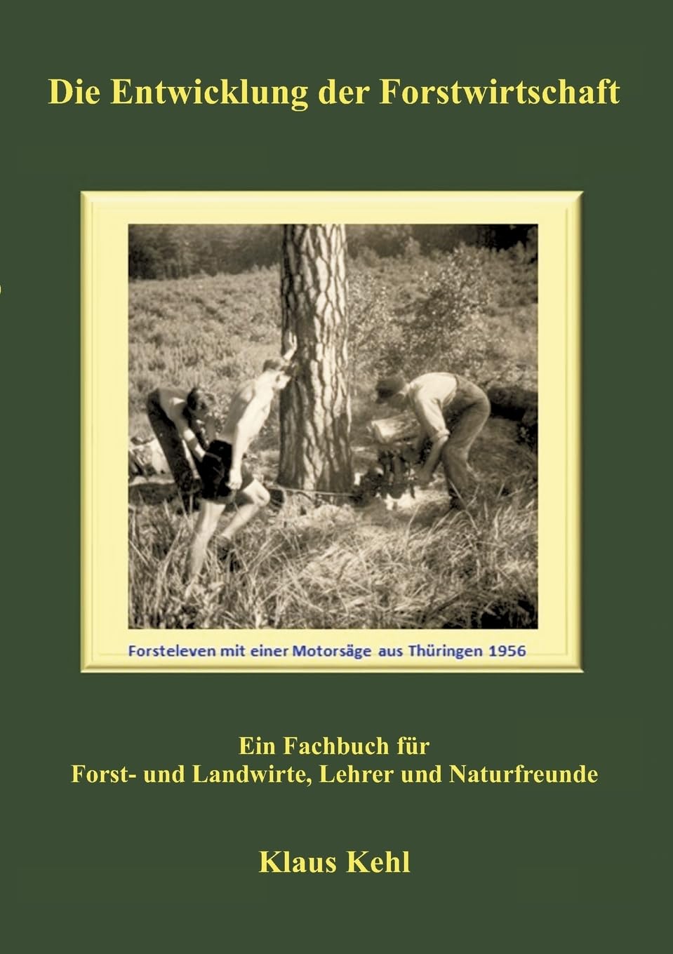 Product Image: Die Entwicklung der Forstwirtschaft