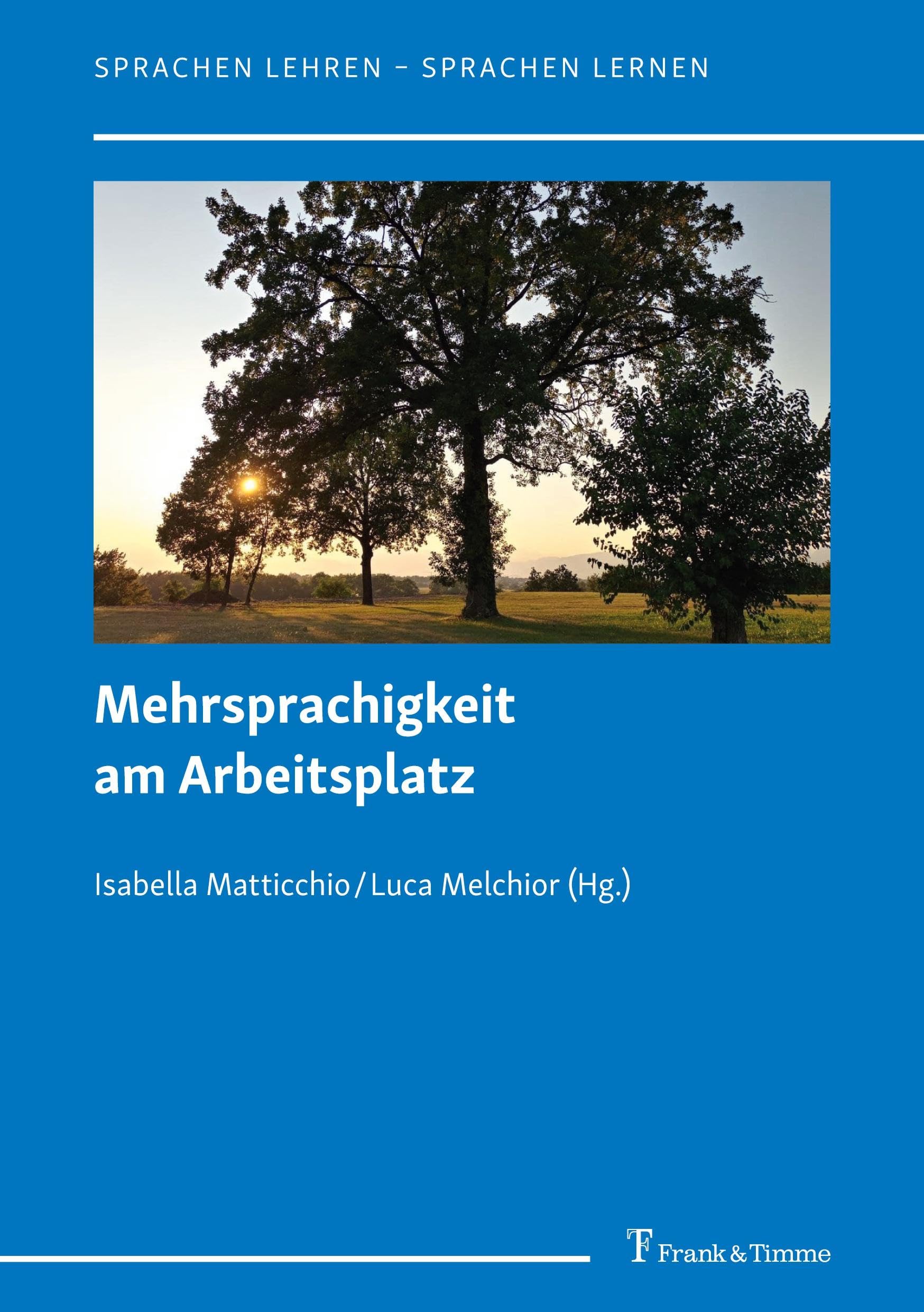 Mehrsprachigkeit am Arbeitsplatz (Sprachen lehren – Sprachen lernen) Social Sciences