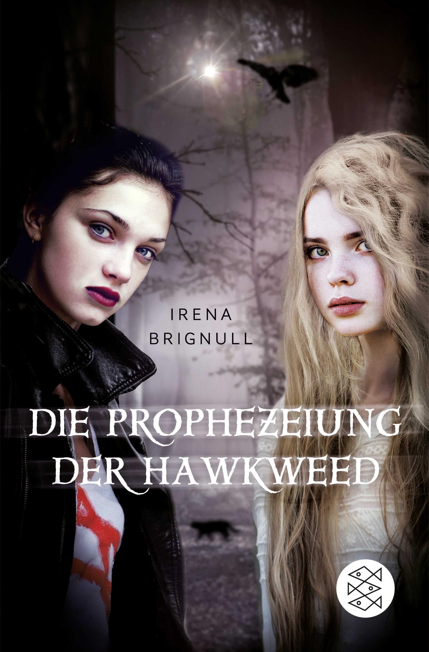 Die Prophezeiung der Hawkweed Fantasy & Sci-Fi for children