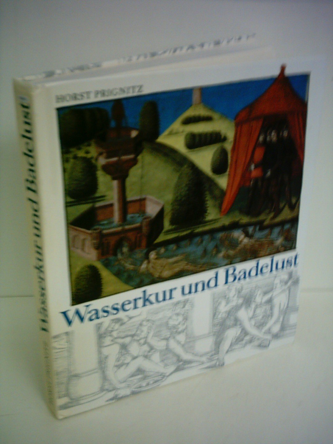 Wasserkur und Badelust. Eine Badereise in die Vergangenheit Books