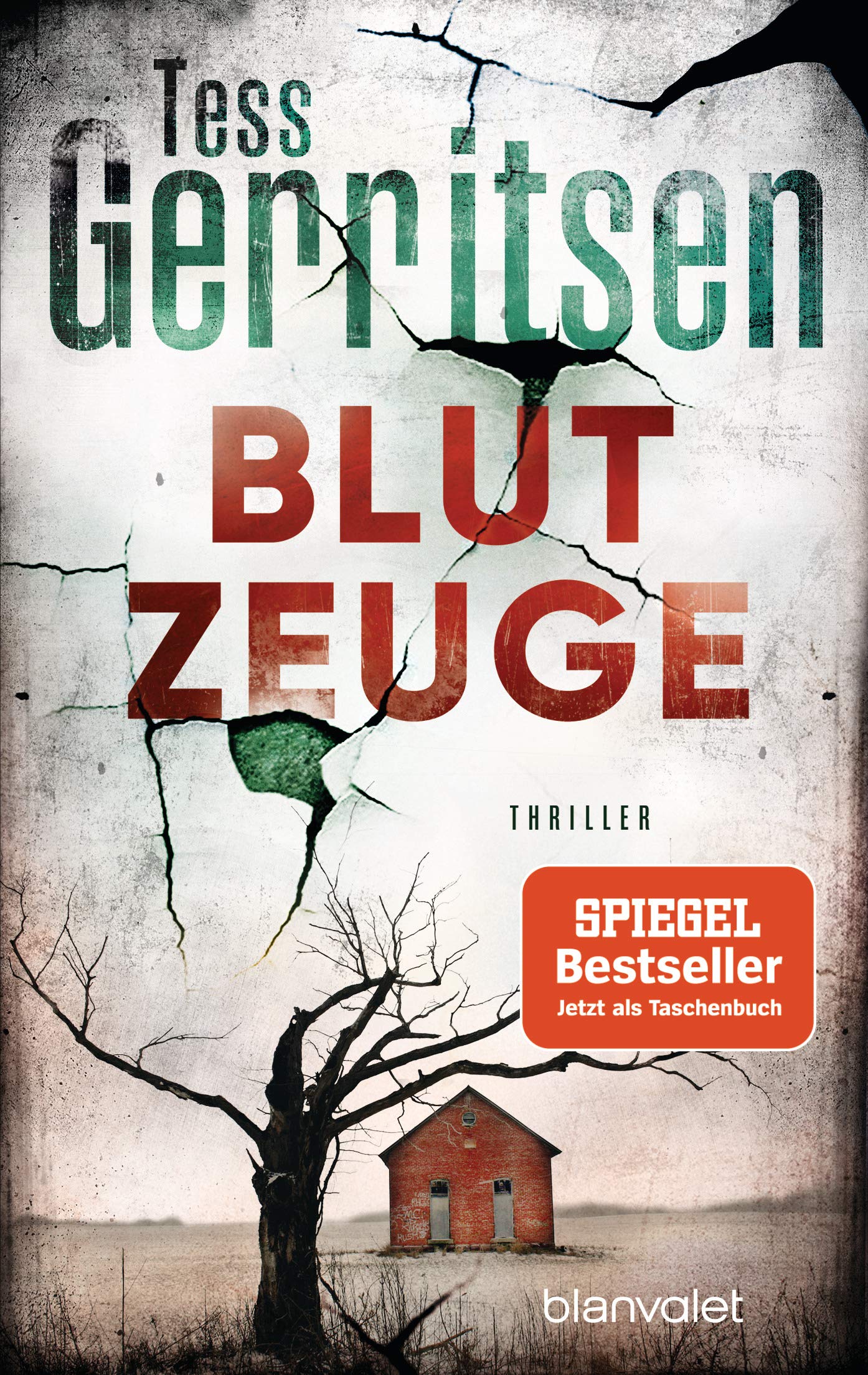 Blutzeuge Contemporary literature Books