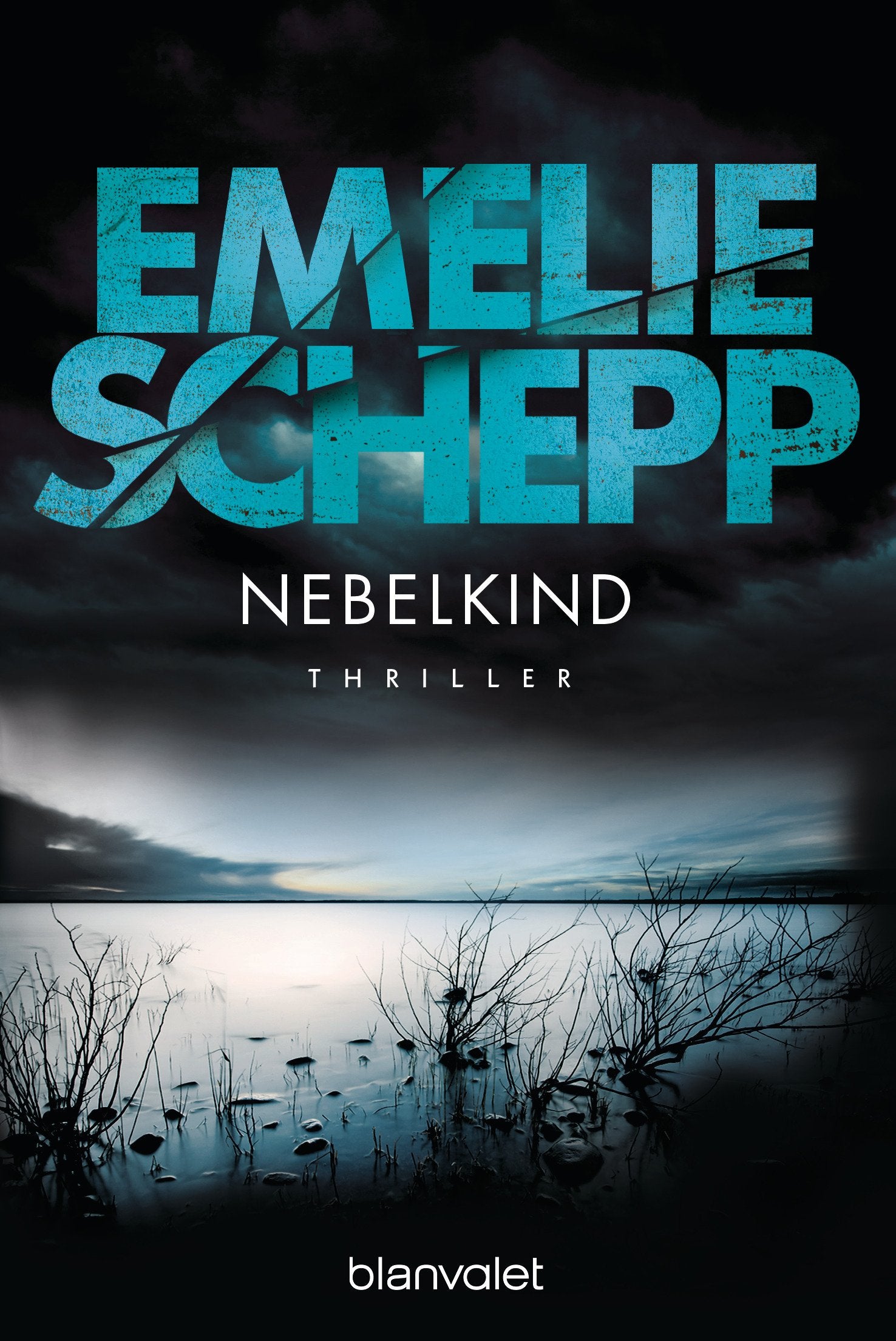 Nebelkind Contemporary literature Books