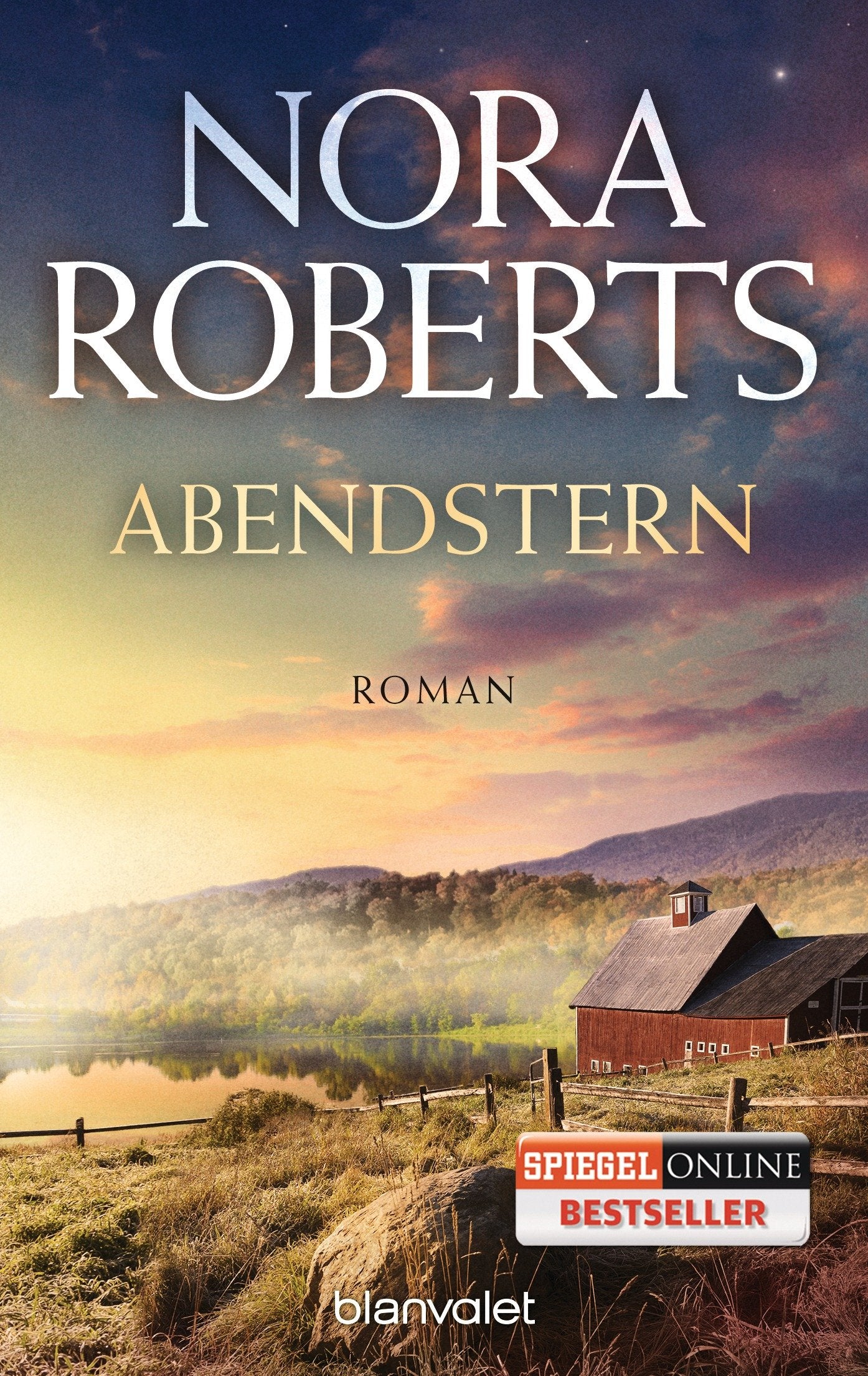 Abendstern Contemporary literature Books