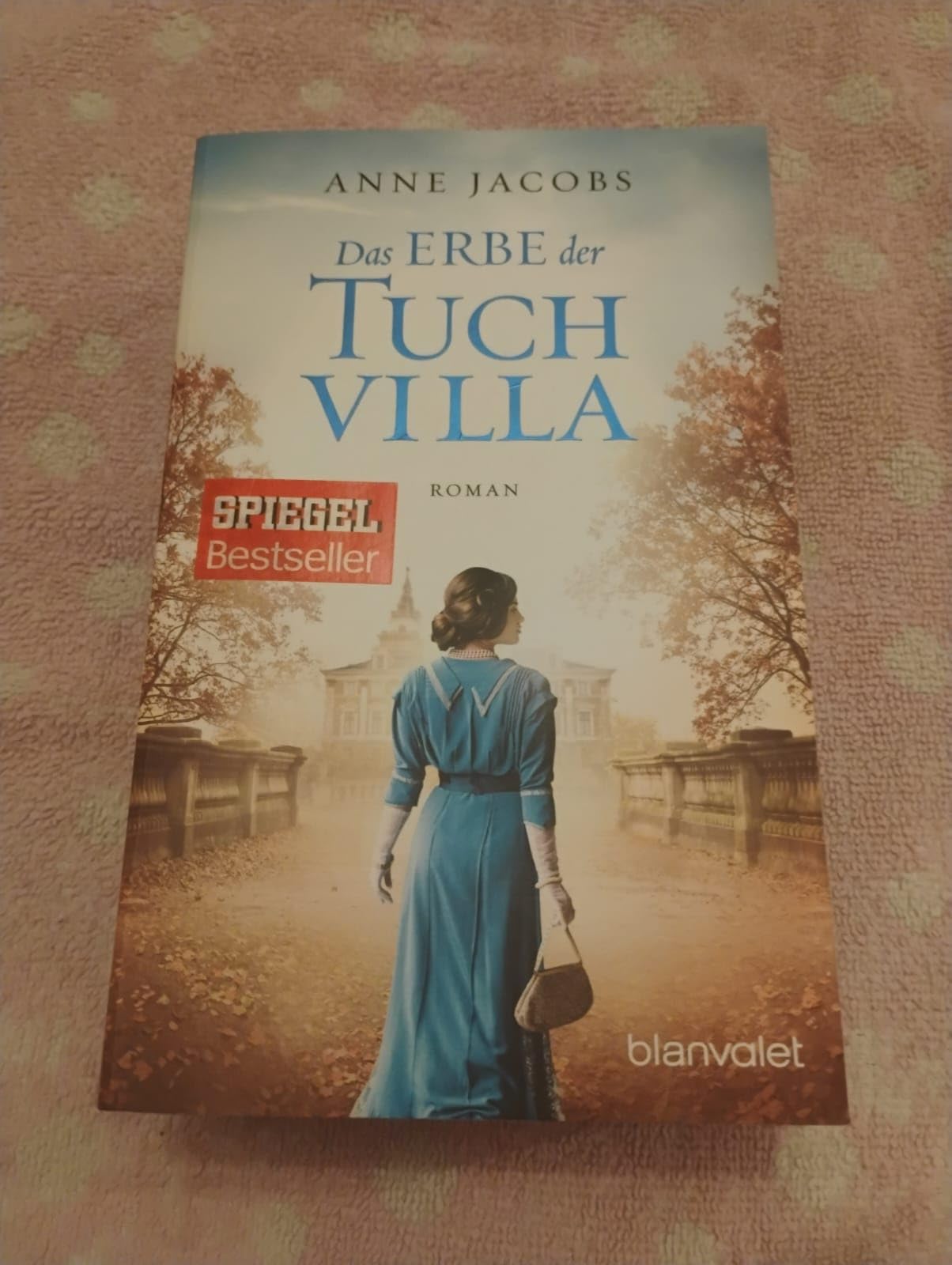 Das Erbe der Tuchvilla Contemporary literature Books