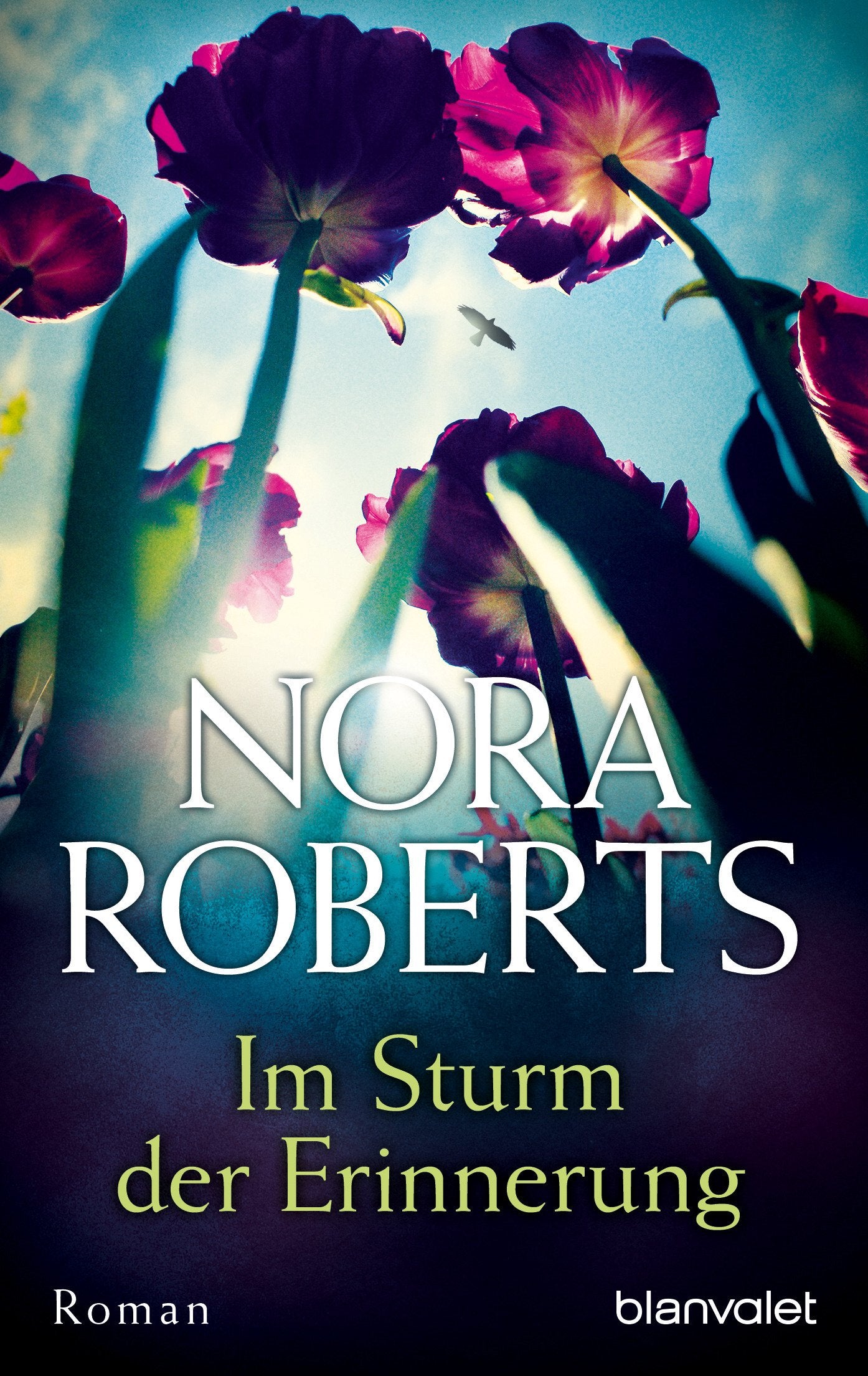 Im Sturm der Erinnerung Contemporary literature Books