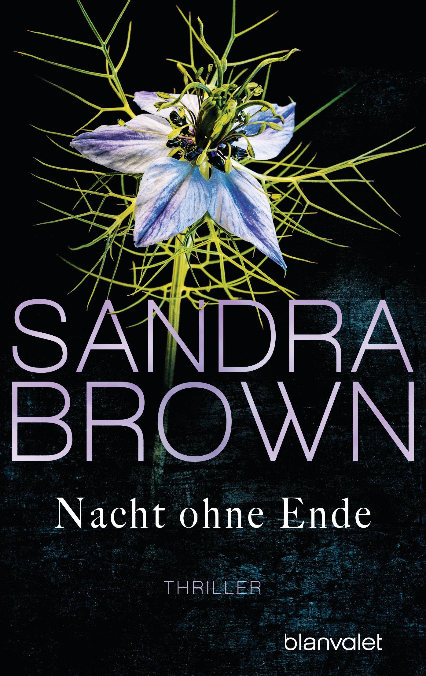 Nacht ohne Ende Contemporary literature Books