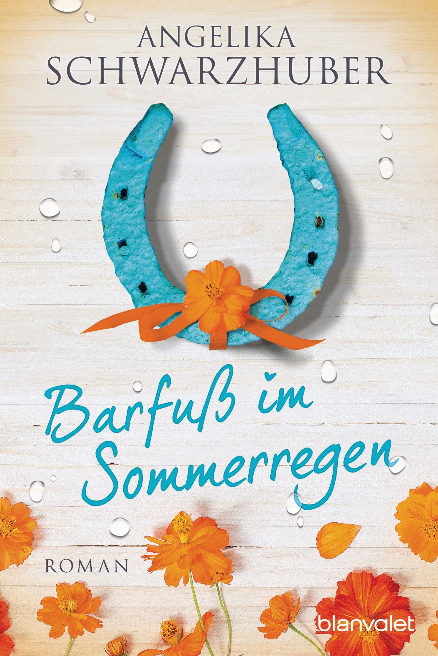 Barfuß im Sommerregen Contemporary literature