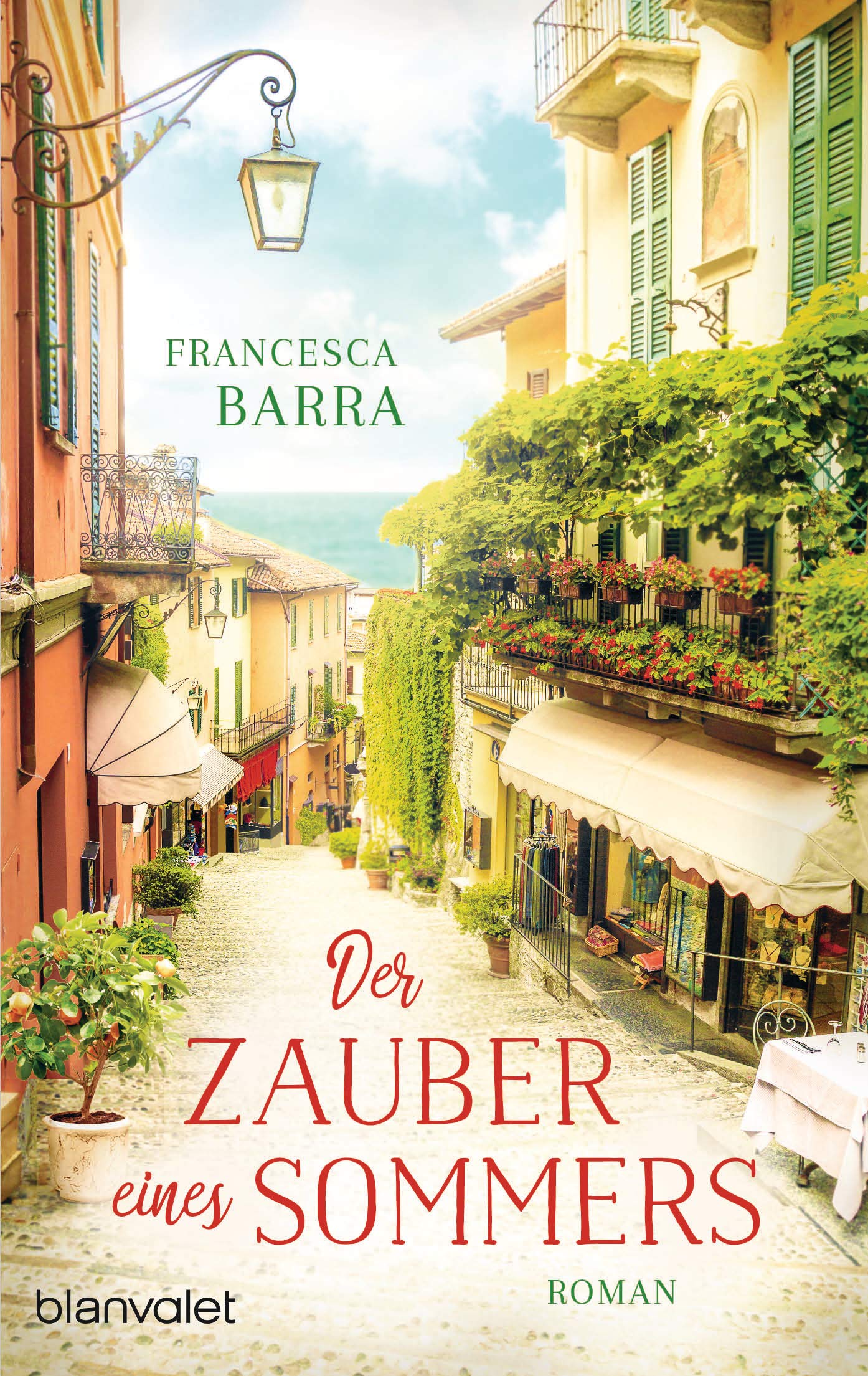 Der Zauber eines Sommers Contemporary literature Books
