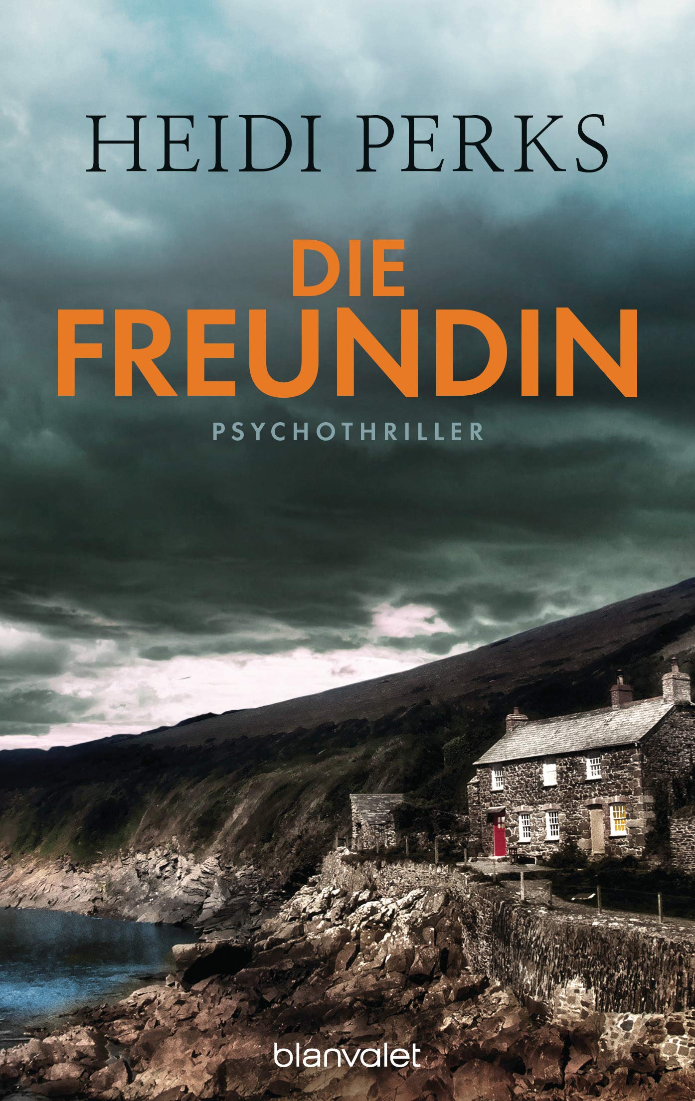Die Freundin Contemporary literature Books