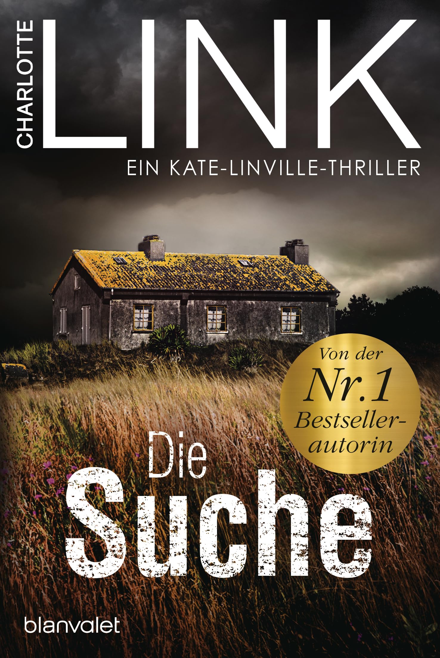 Die Suche Contemporary literature Books