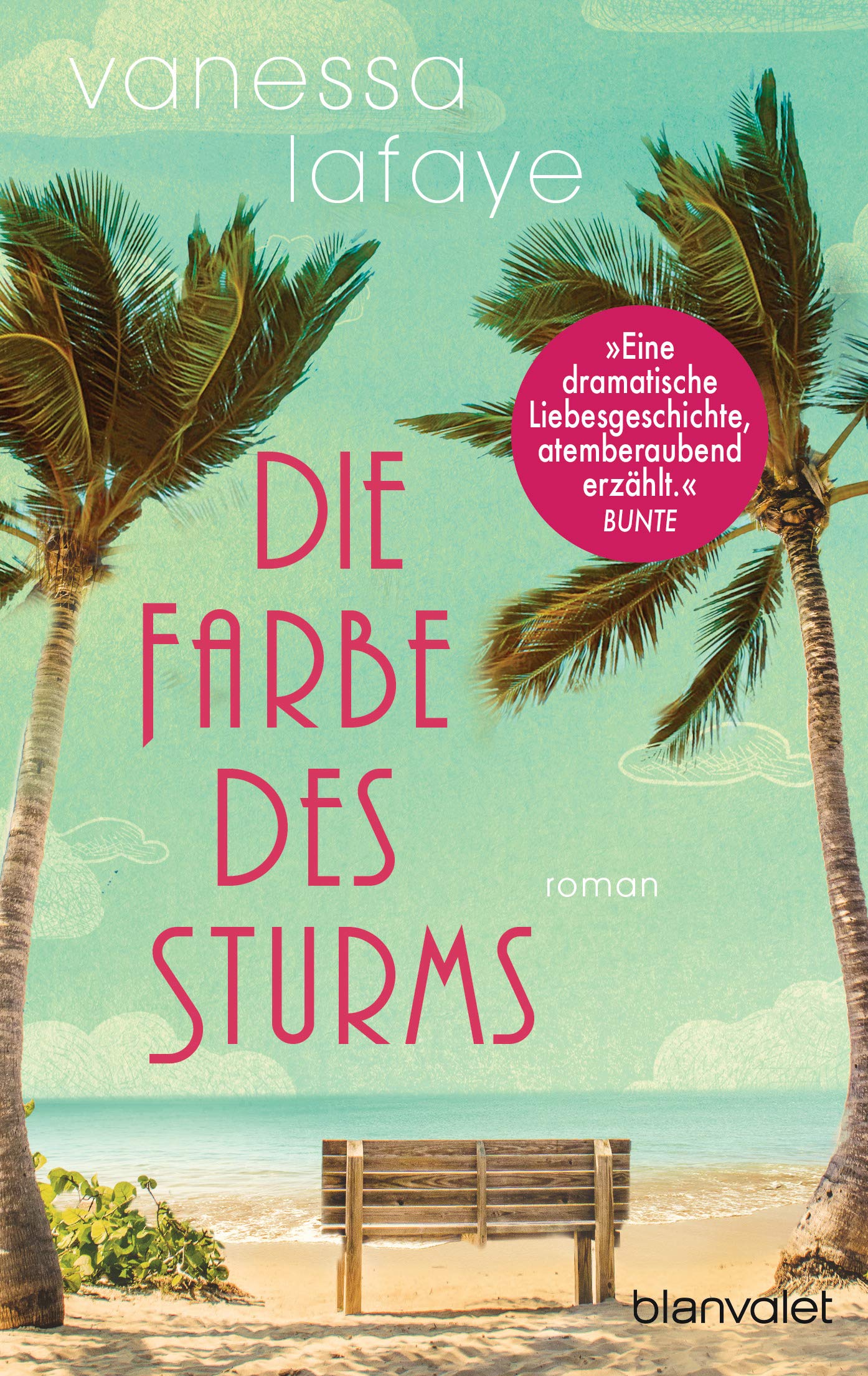 Die Farbe des Sturms Contemporary literature Books