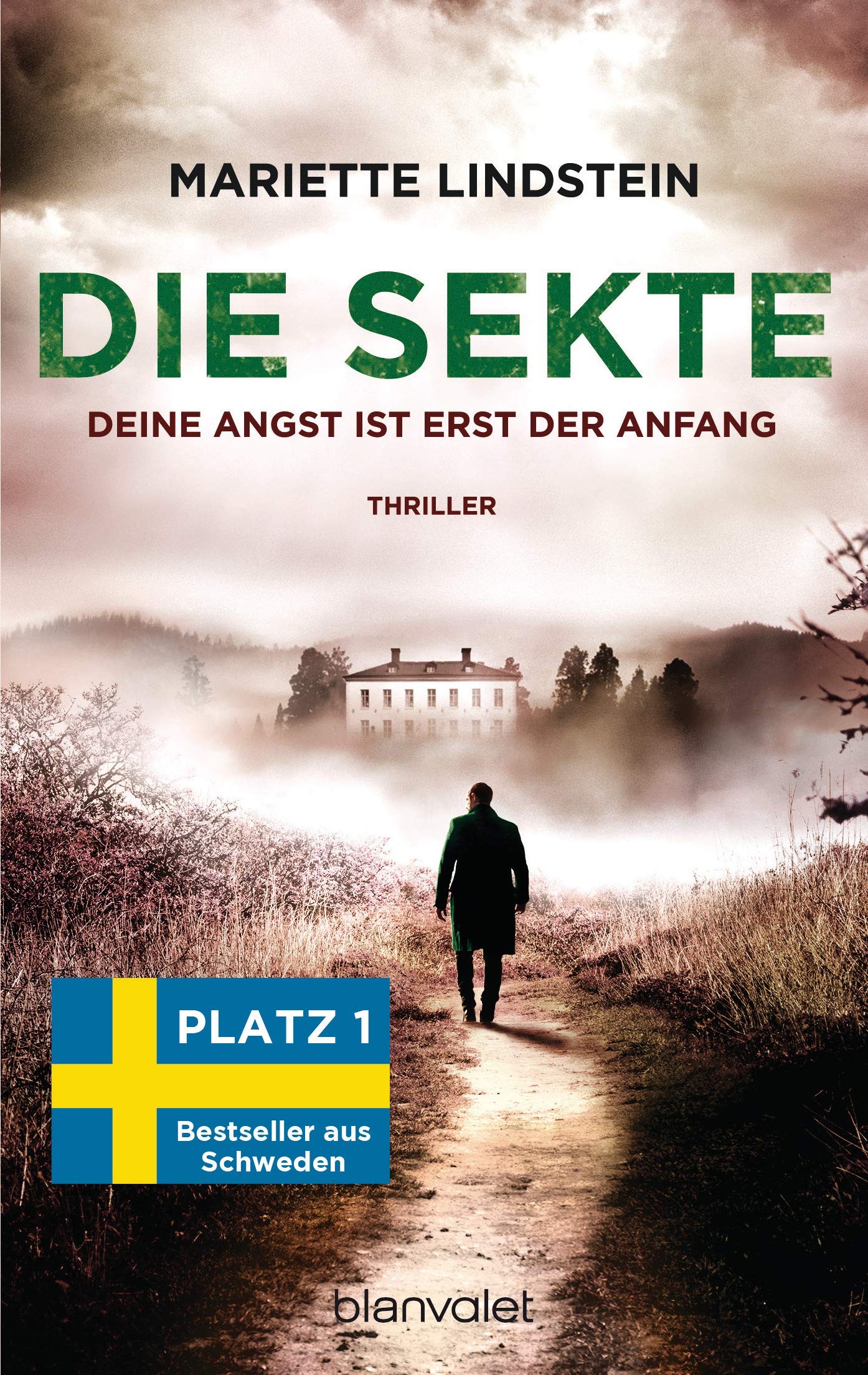 Die Sekte - Deine Angst ist erst der Anfang Contemporary literature