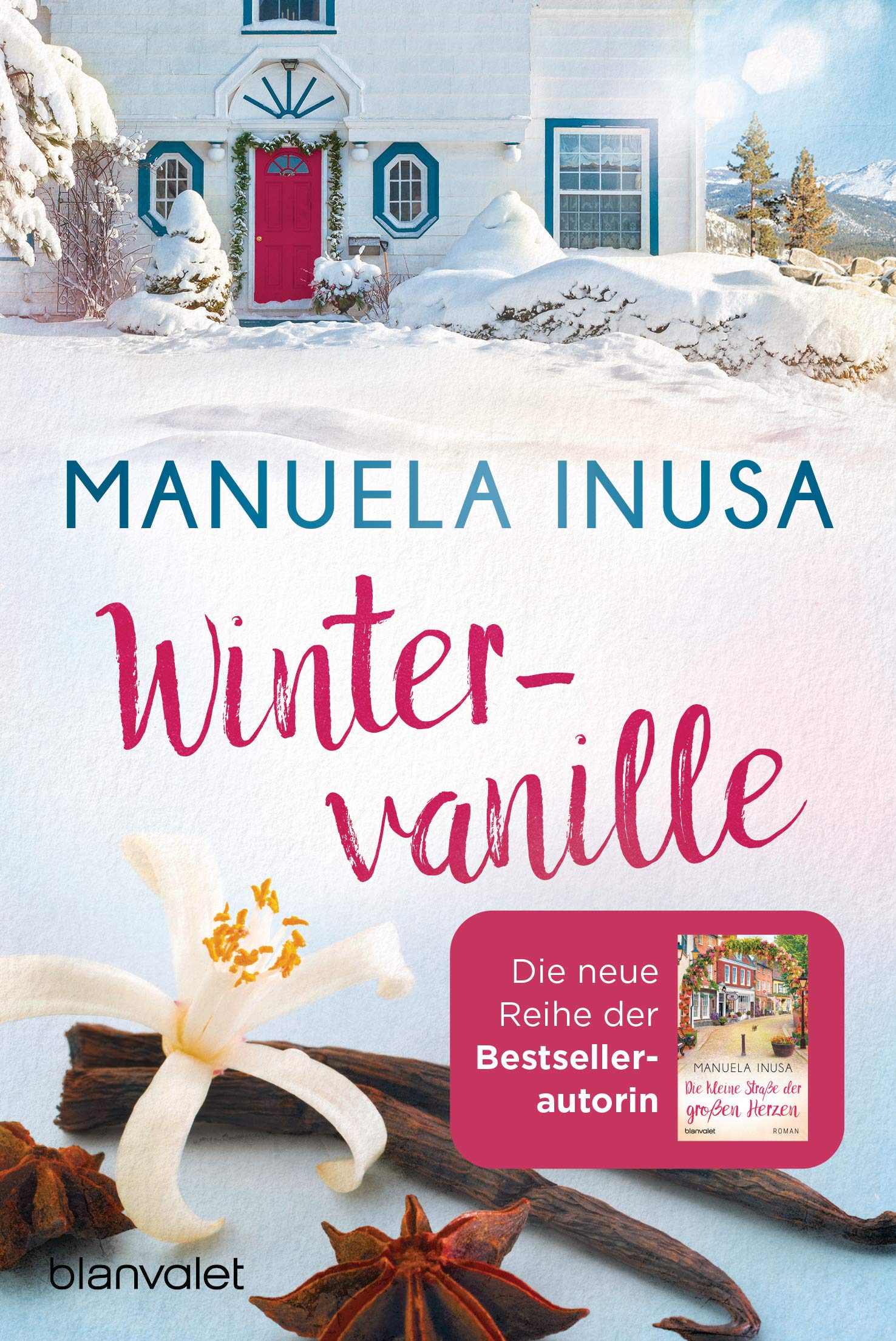 Wintervanille Contemporary literature Books