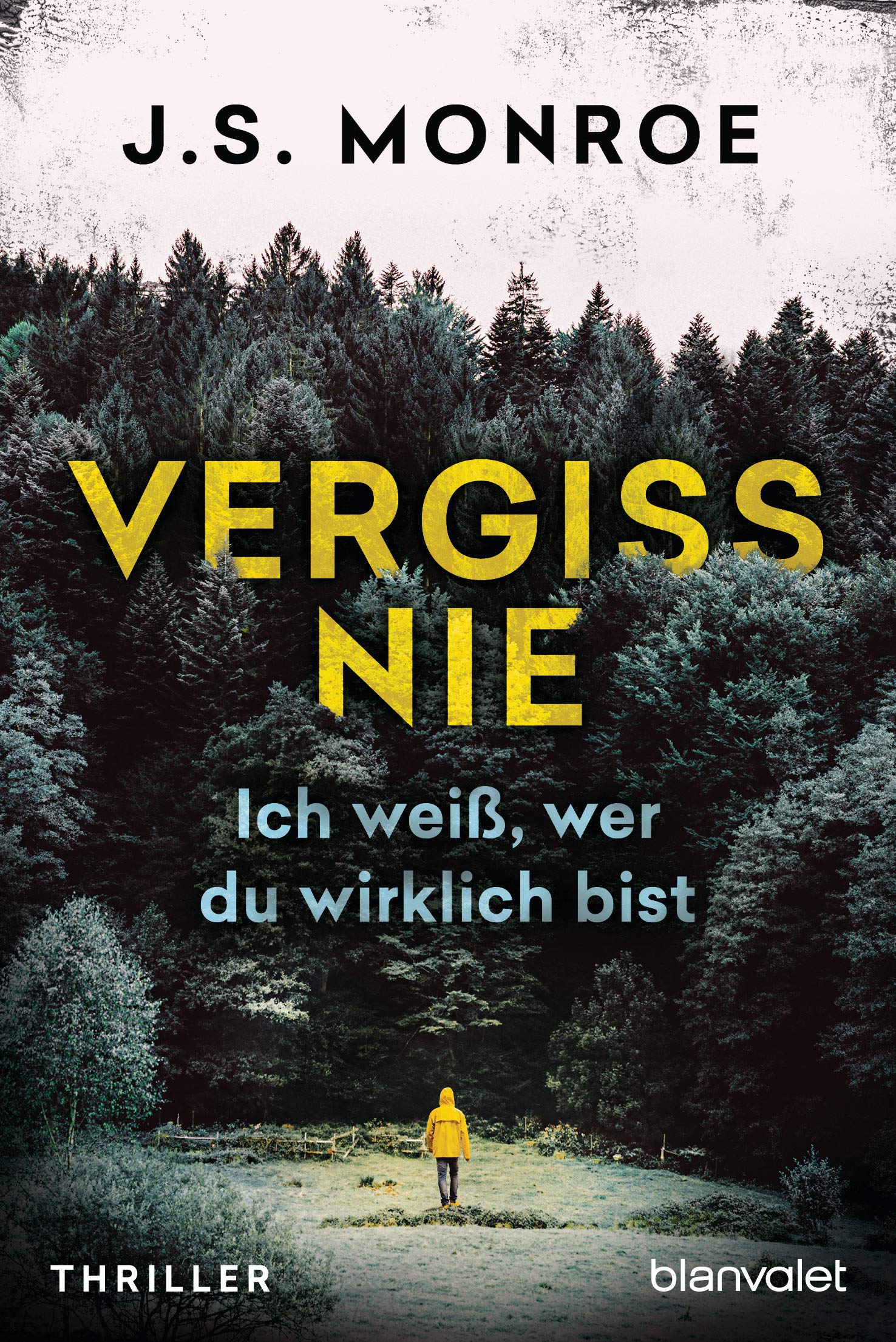 Vergiss nie - Ich weiß, wer du wirklich bist Contemporary literature
