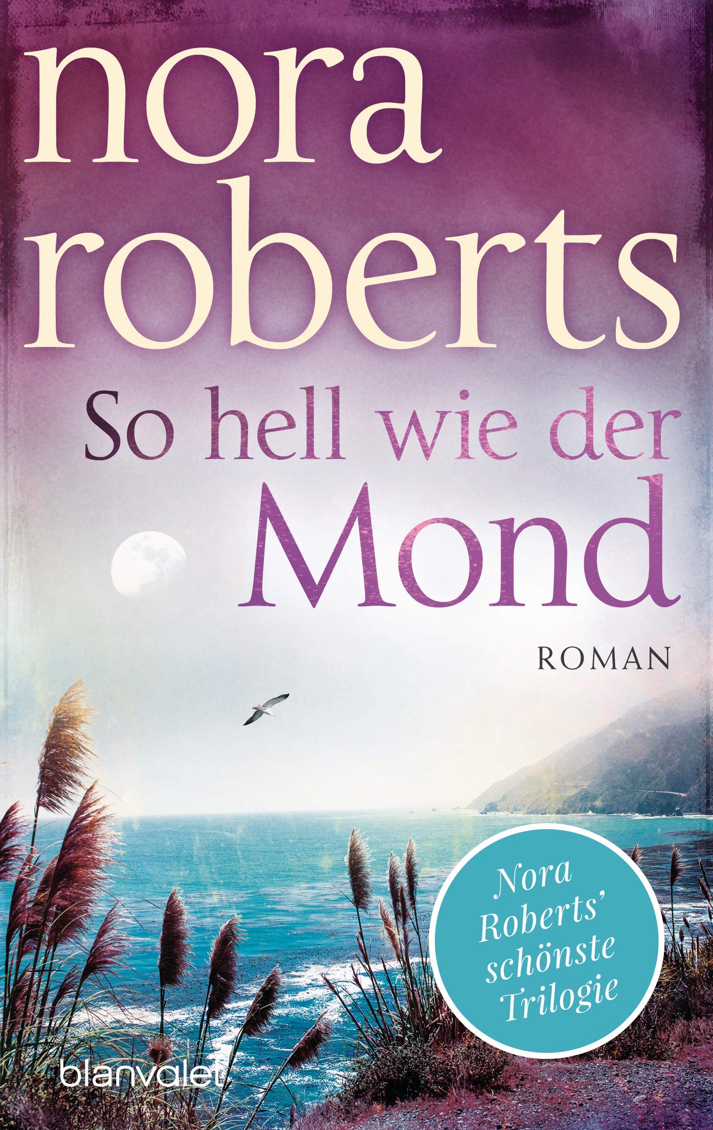 So hell wie der Mond Contemporary literature Books