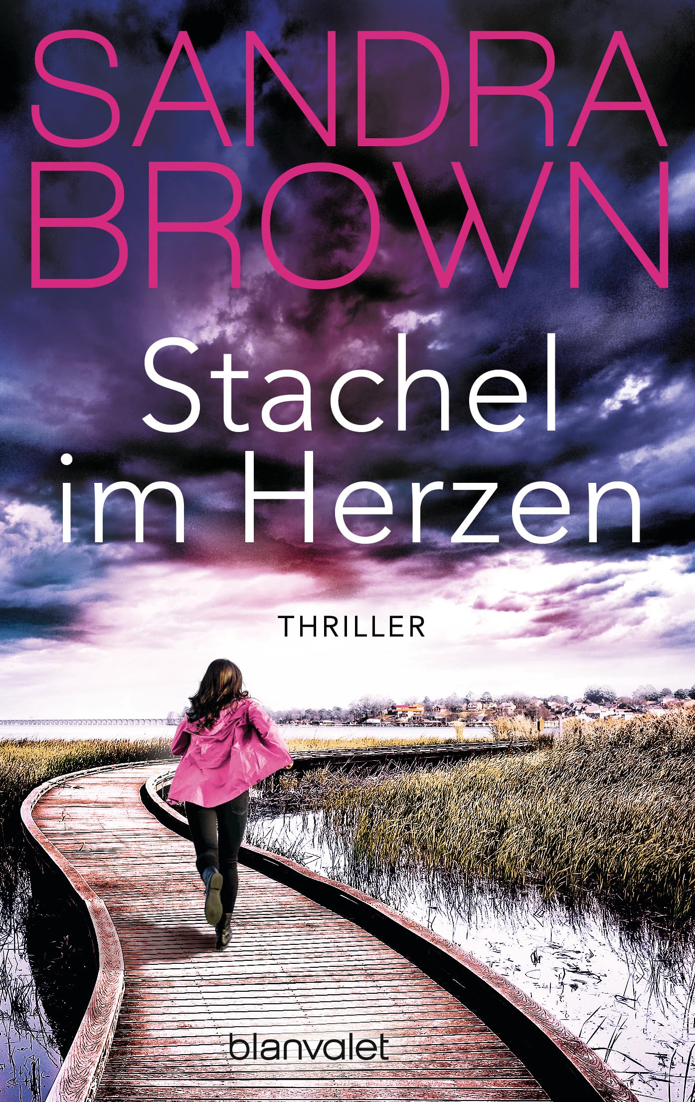 Stachel im Herzen Contemporary literature Books