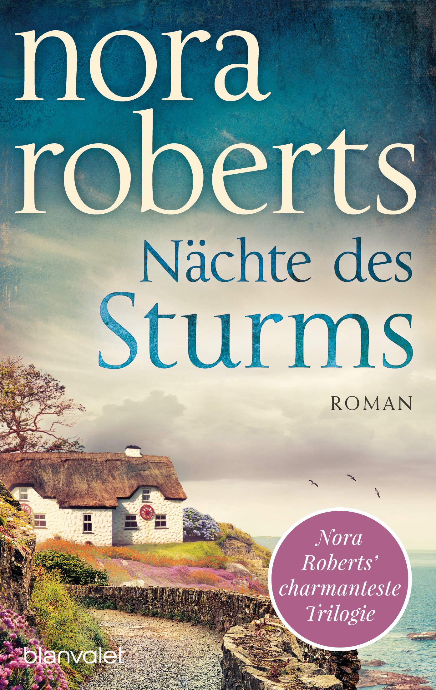 Nächte des Sturms Contemporary literature Books