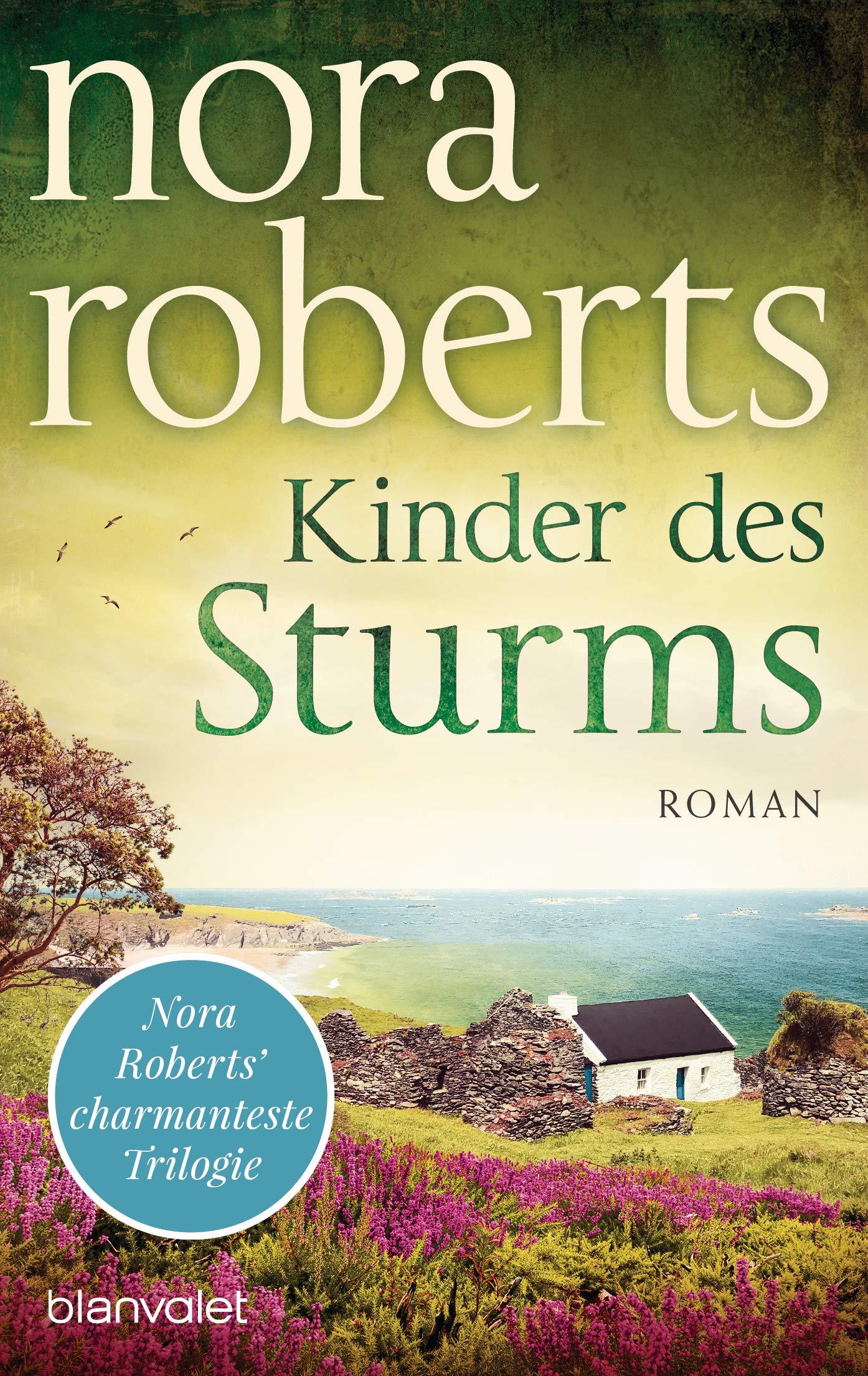 Kinder des Sturms Contemporary literature Books