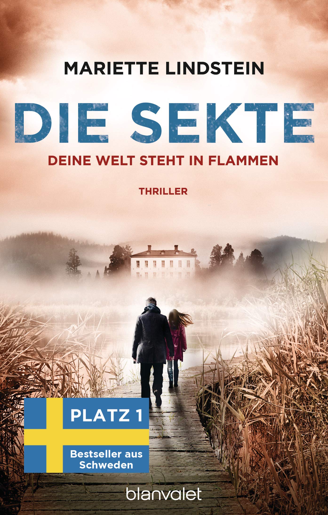Die Sekte - Deine Welt steht in Flammen Contemporary literature