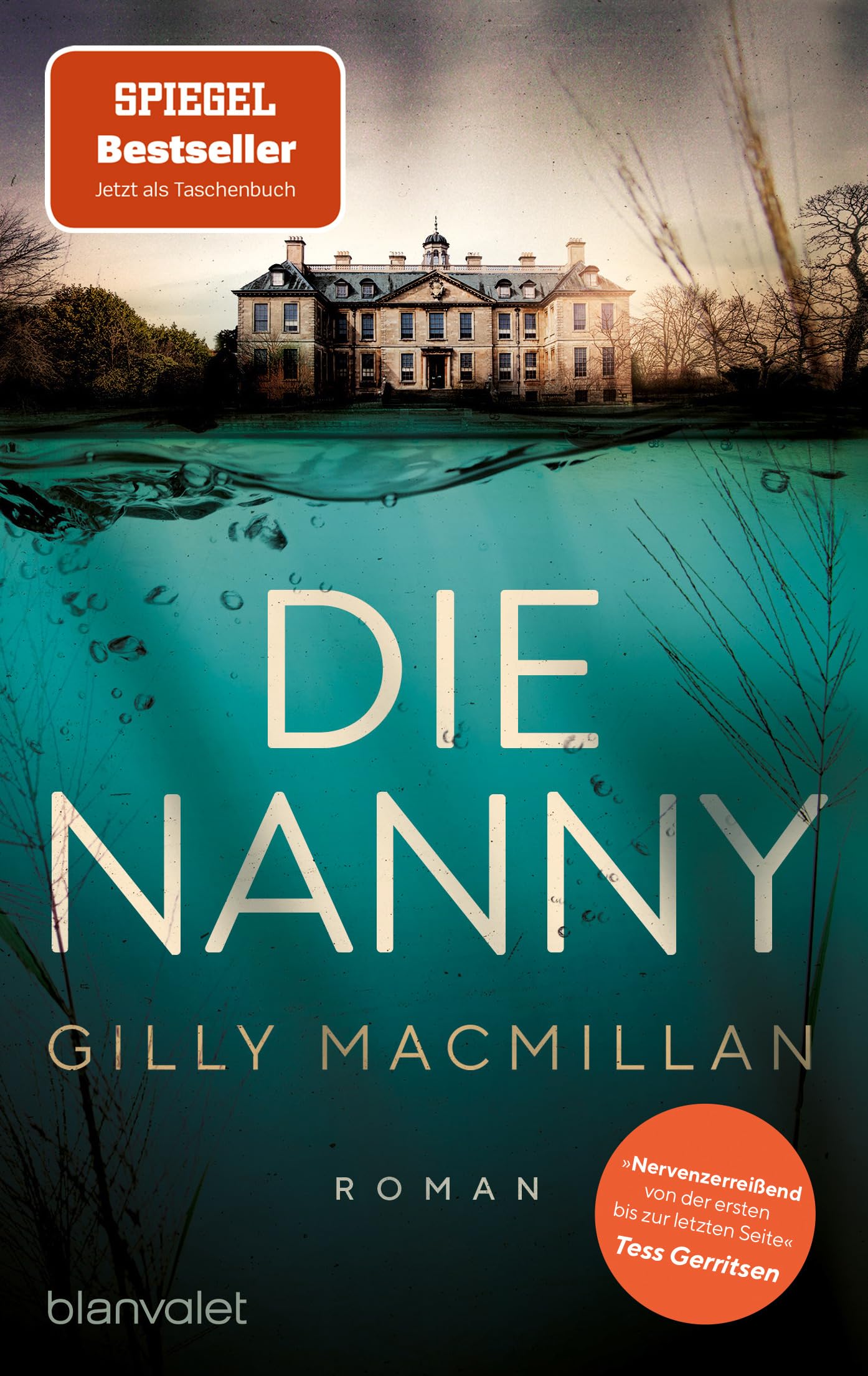 Die Nanny Contemporary literature Books