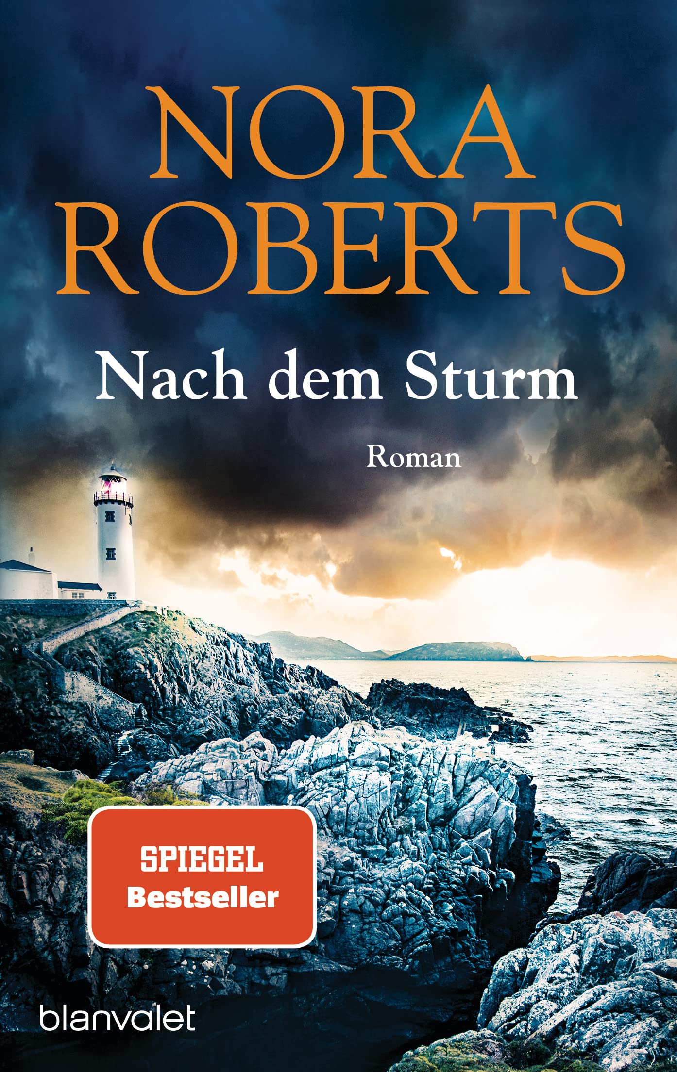 Nach dem Sturm Contemporary literature Books