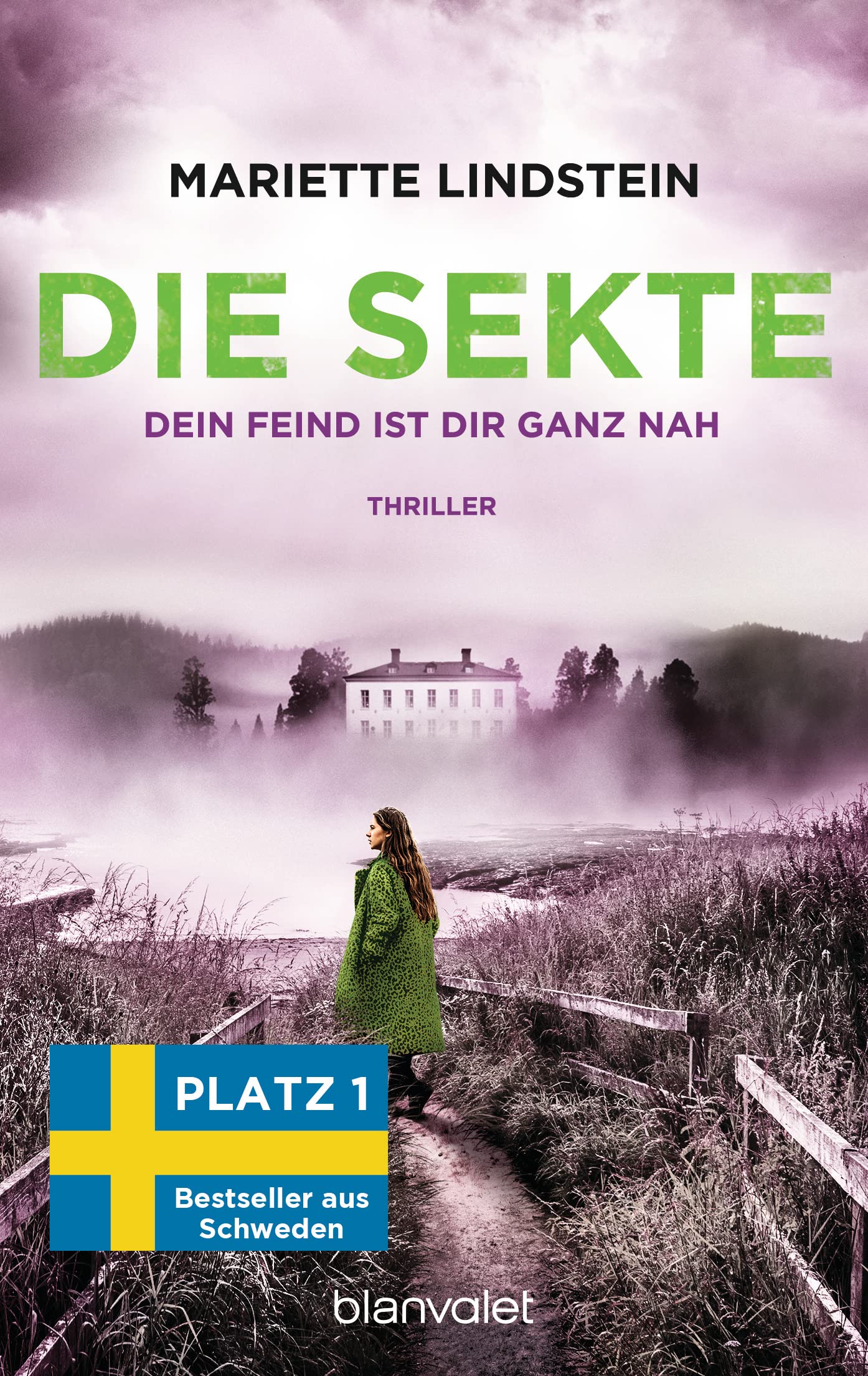 Die Sekte - Dein Feind ist dir ganz nah Contemporary literature