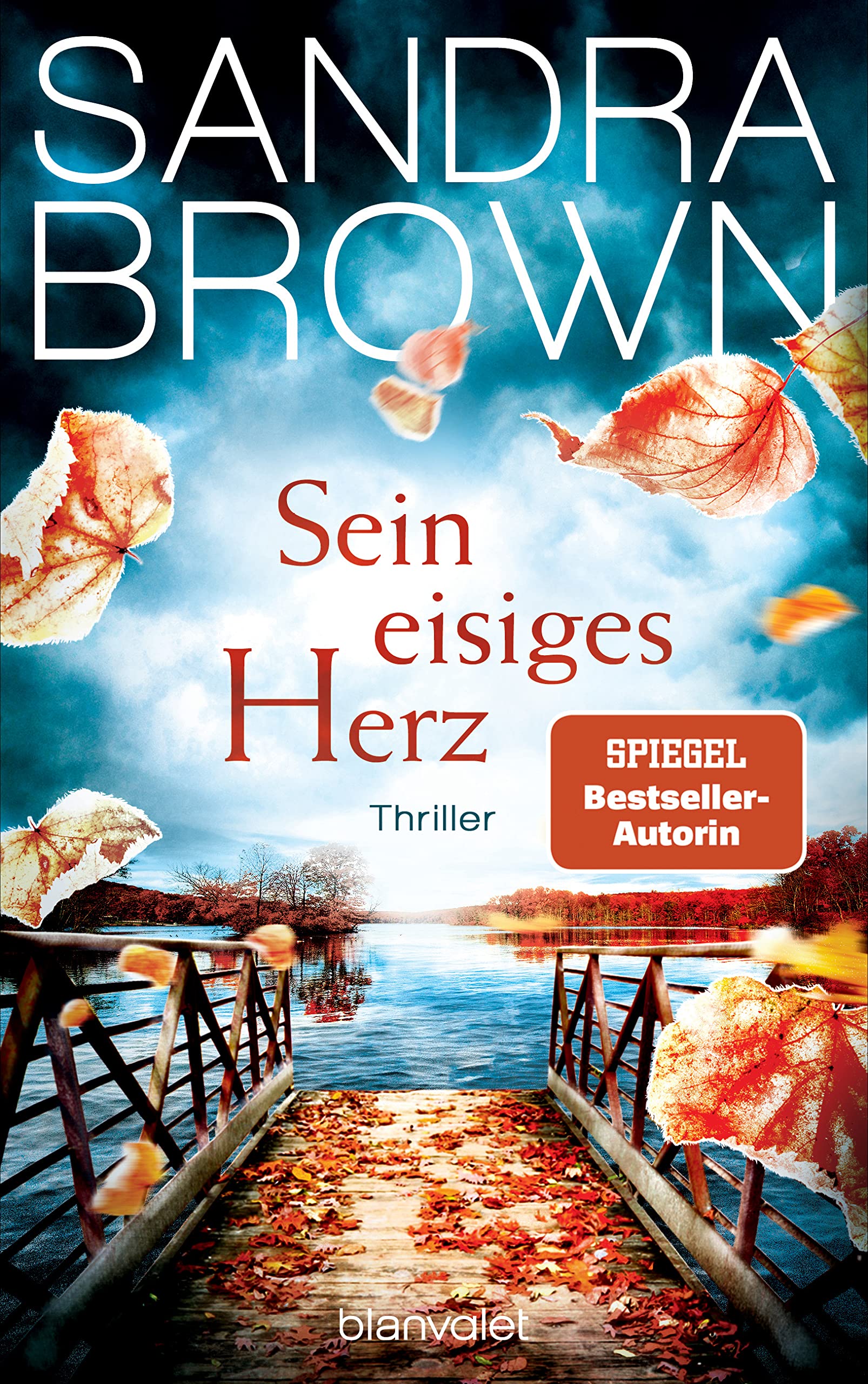 Sein eisiges Herz Contemporary literature Books