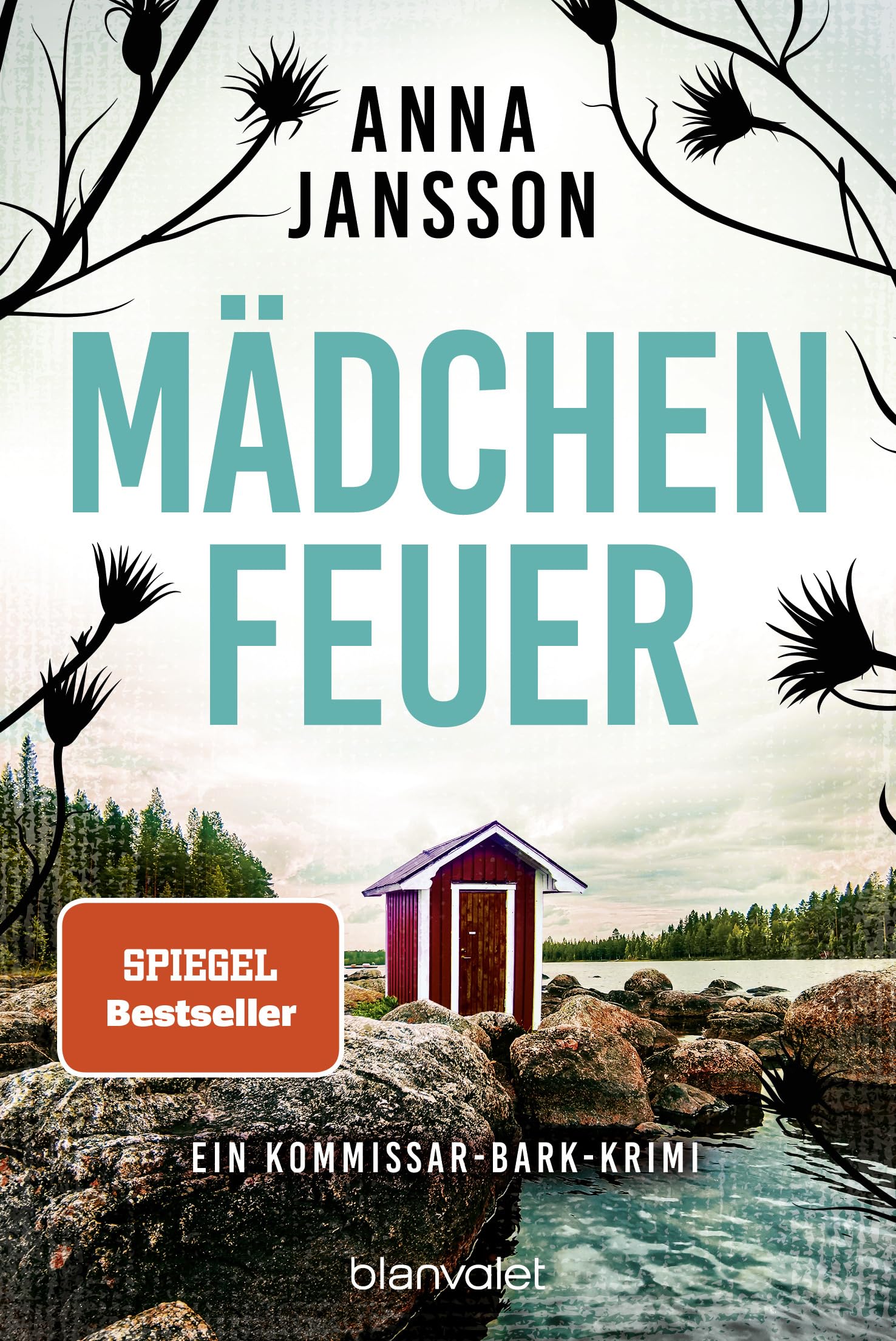 Mädchenfeuer Contemporary literature Books