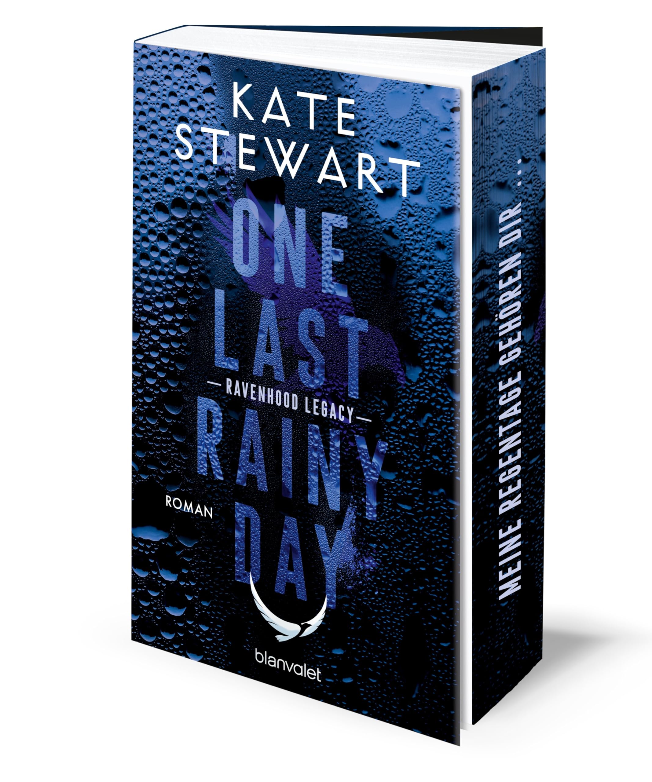 Product Image: One Last Rainy Day