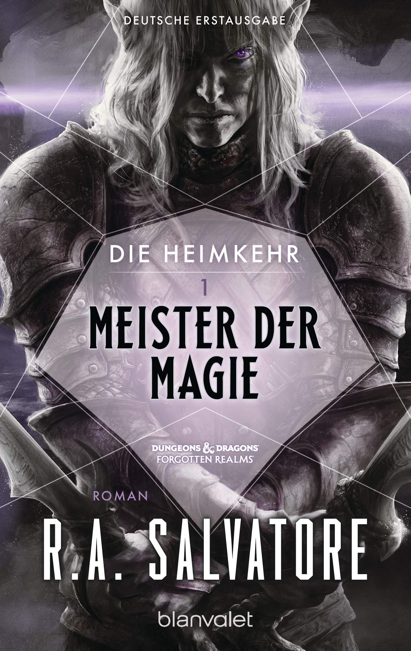 Die Heimkehr 1 - Meister der Magie Contemporary literature