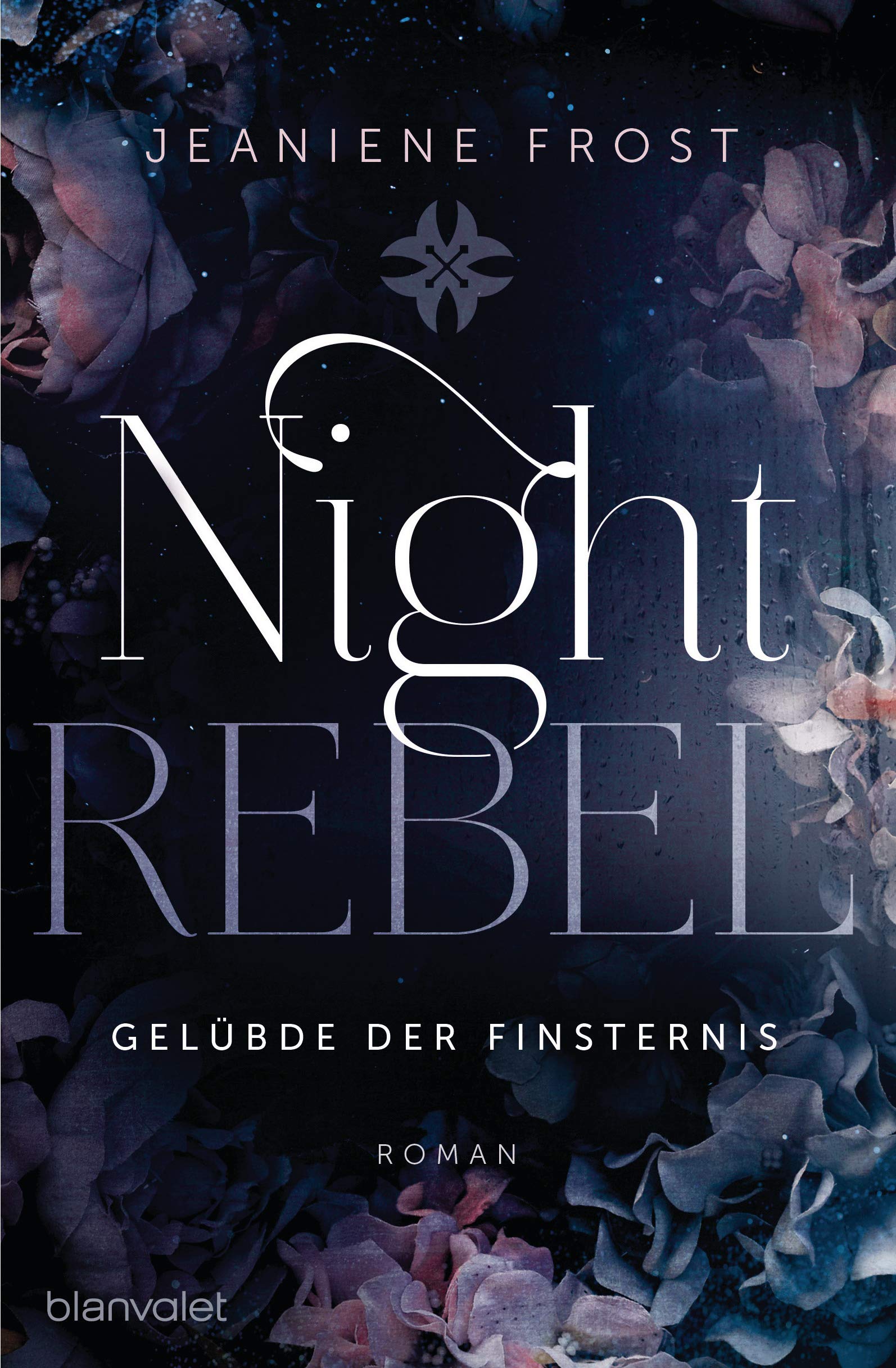 Night Rebel 3 - Gelübde der Finsternis Contemporary literature