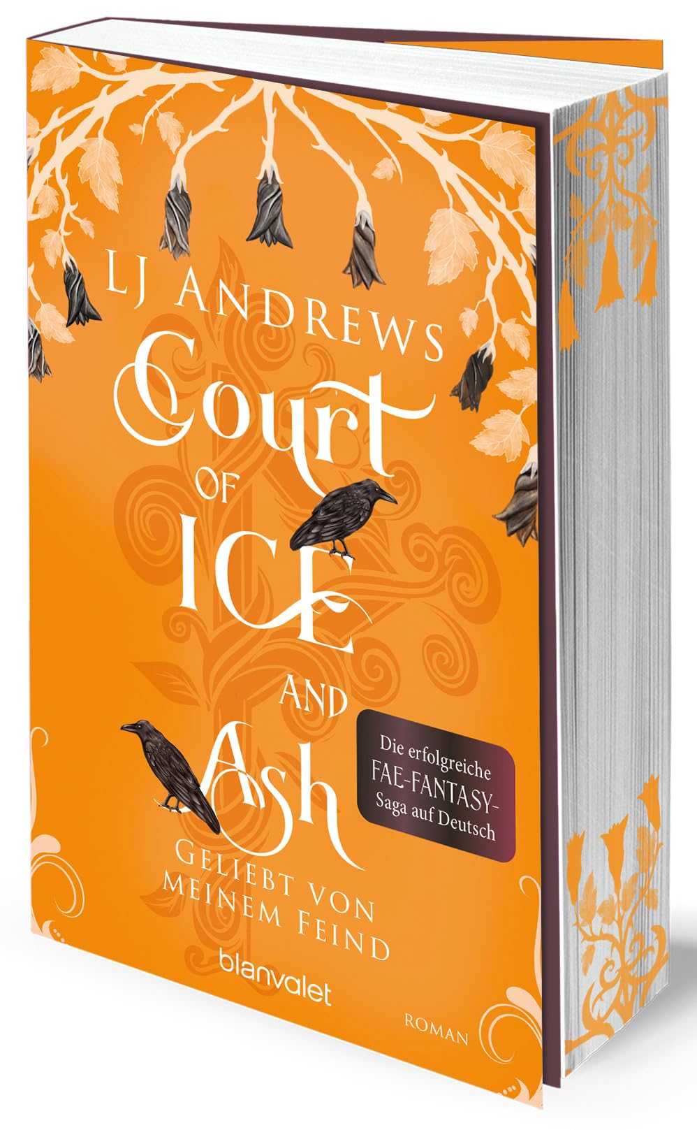 Court of Ice and Ash  - Geliebt von meinem Feind Contemporary literature Books