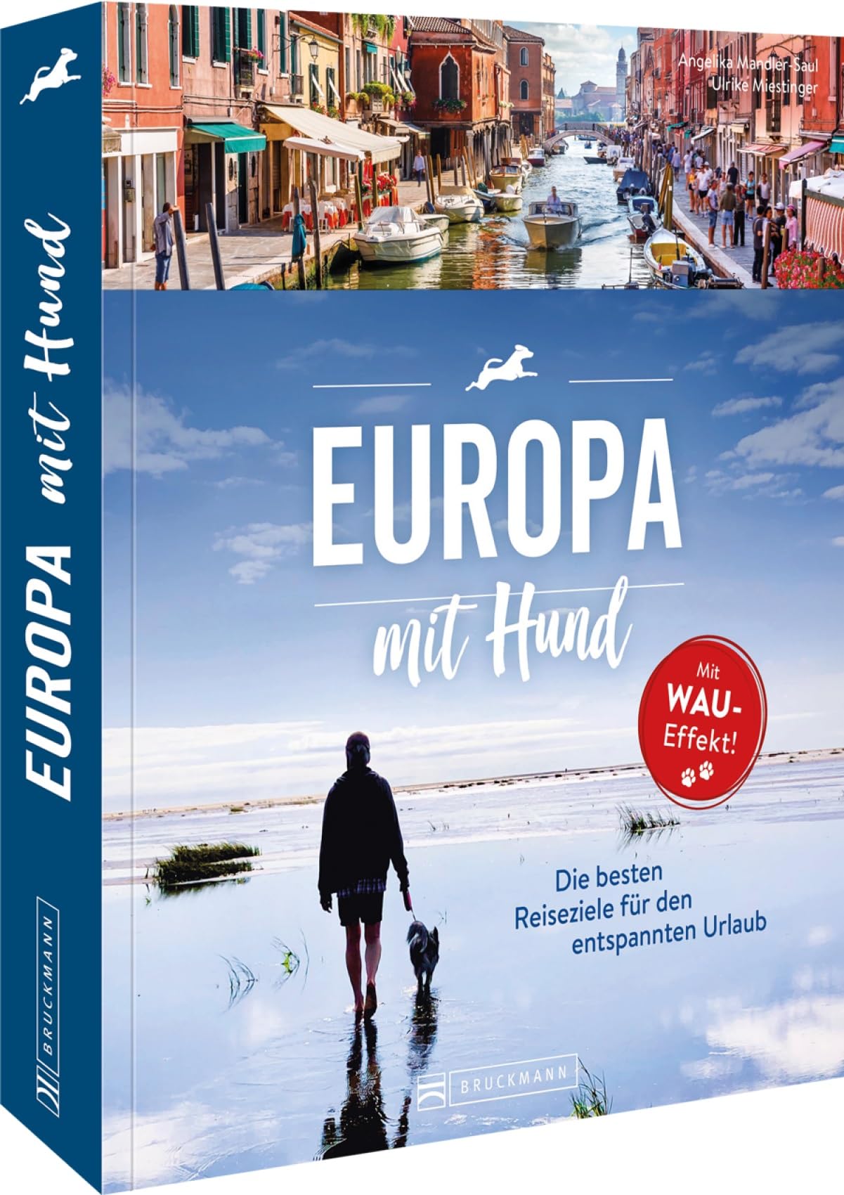 Europa mit Hund Medicine