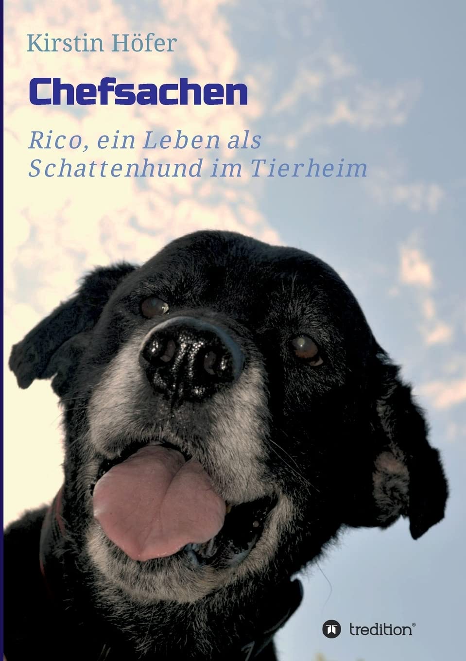 Chefsachen Contemporary literature Books