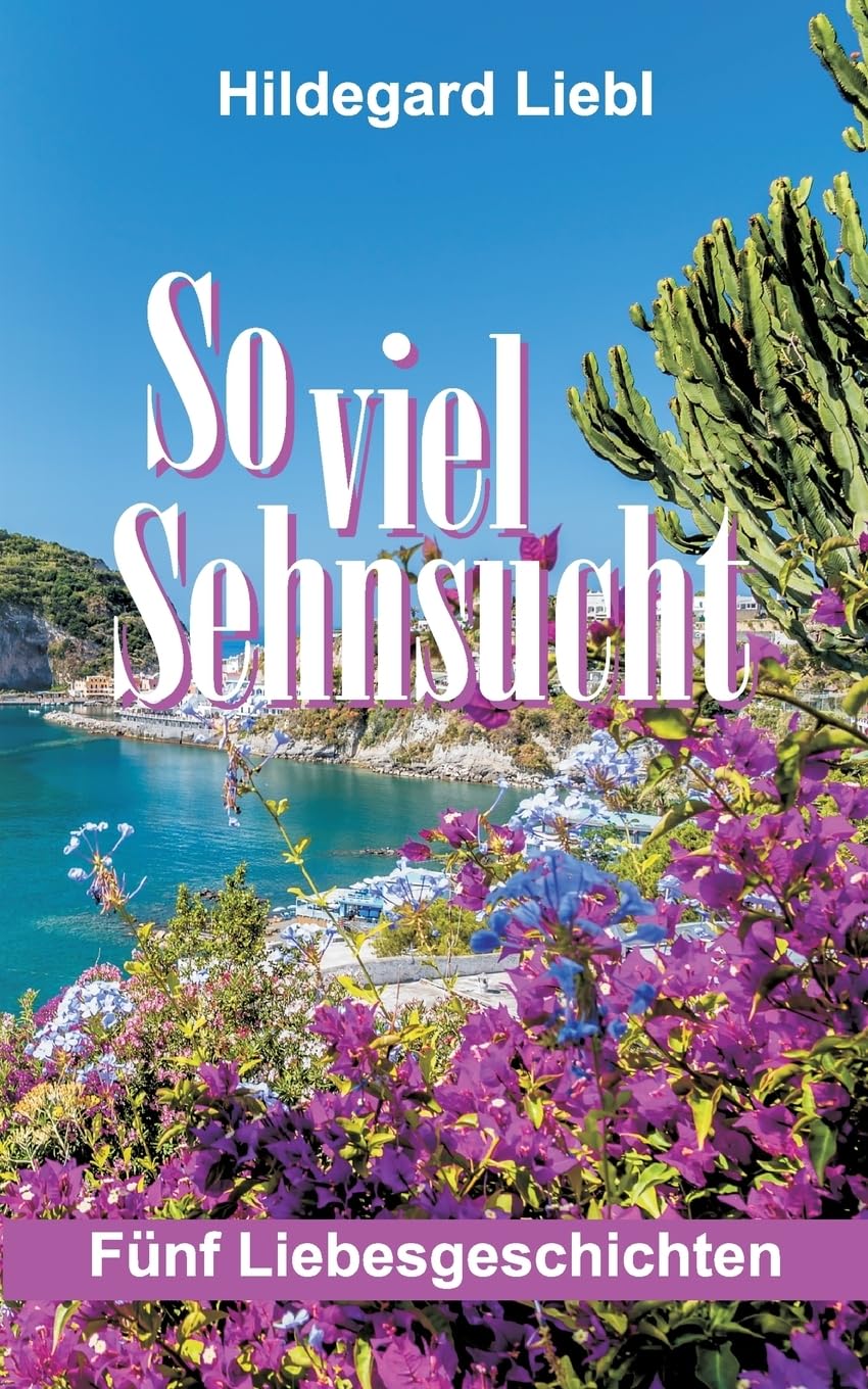So viel Sehnsucht: Fünf Liebesgeschichten Contemporary literature