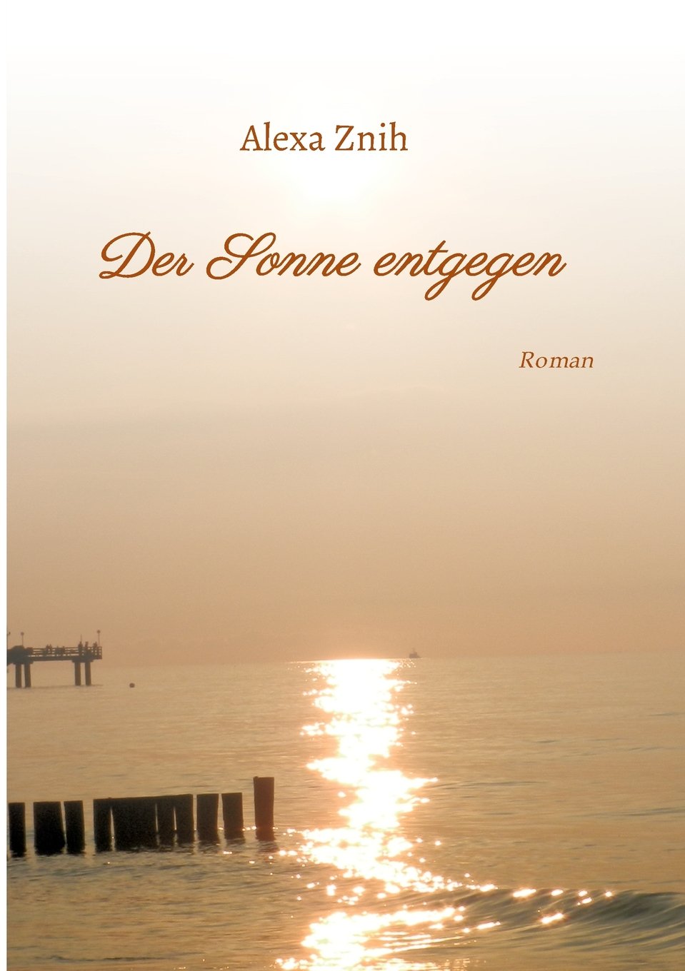 Der Sonne entgegen: Roman book