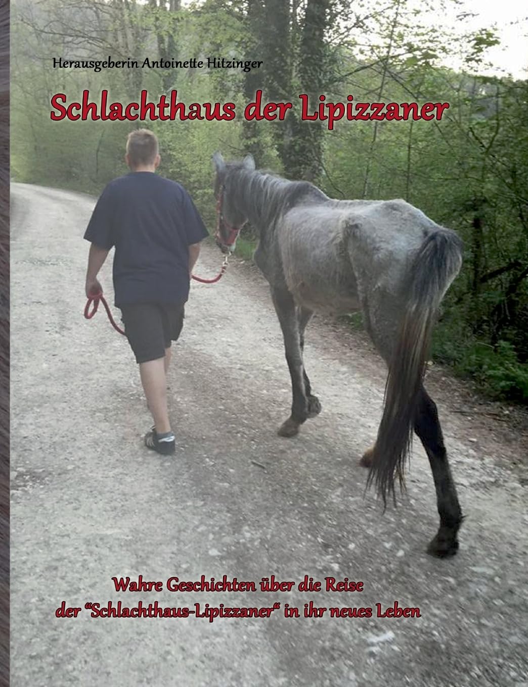 Schlachthaus der Lipizzaner: Wahre Geschichten über die Reise der "Schlachthaus - Lipizzaner" in ihr neues Leben Memories