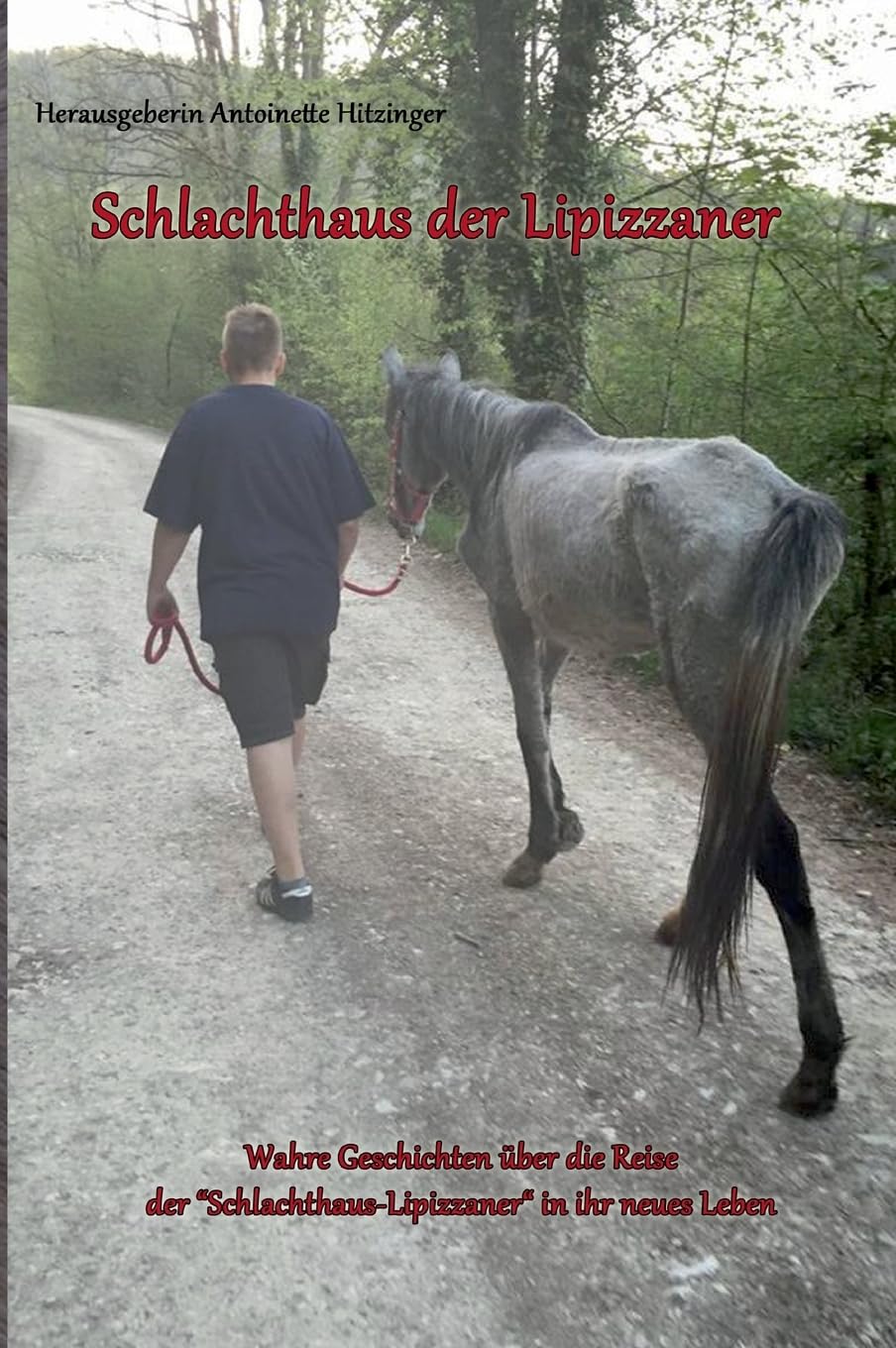 Schlachthaus der Lipizzaner: Wahre Geschichten über die Reise der "Schlachthaus - Lipizzaner" in ihr neues Leben Memories