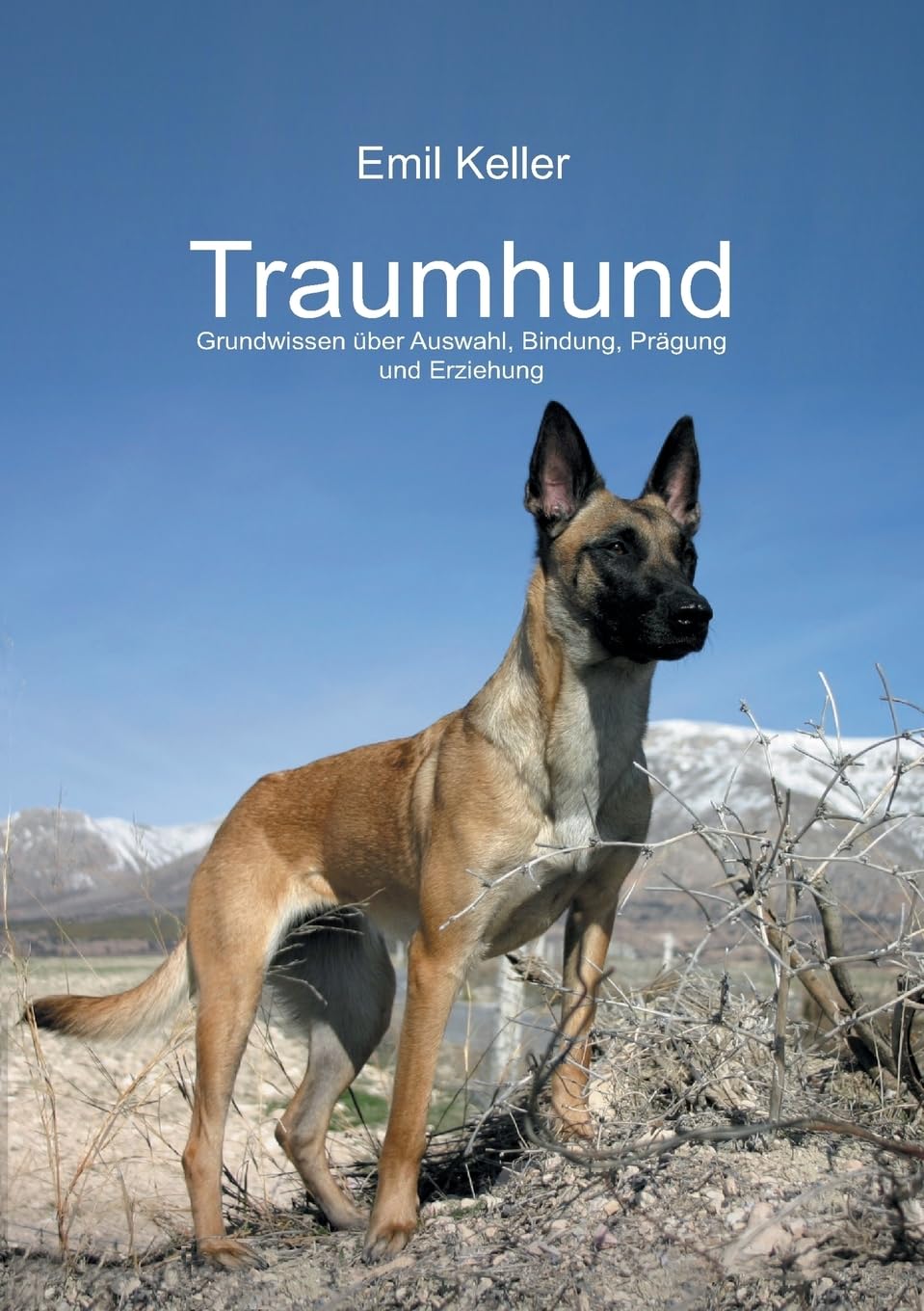 Traumhund: Grundwissen über Auswahl, Bindung, Prägung und Erziehung Pets