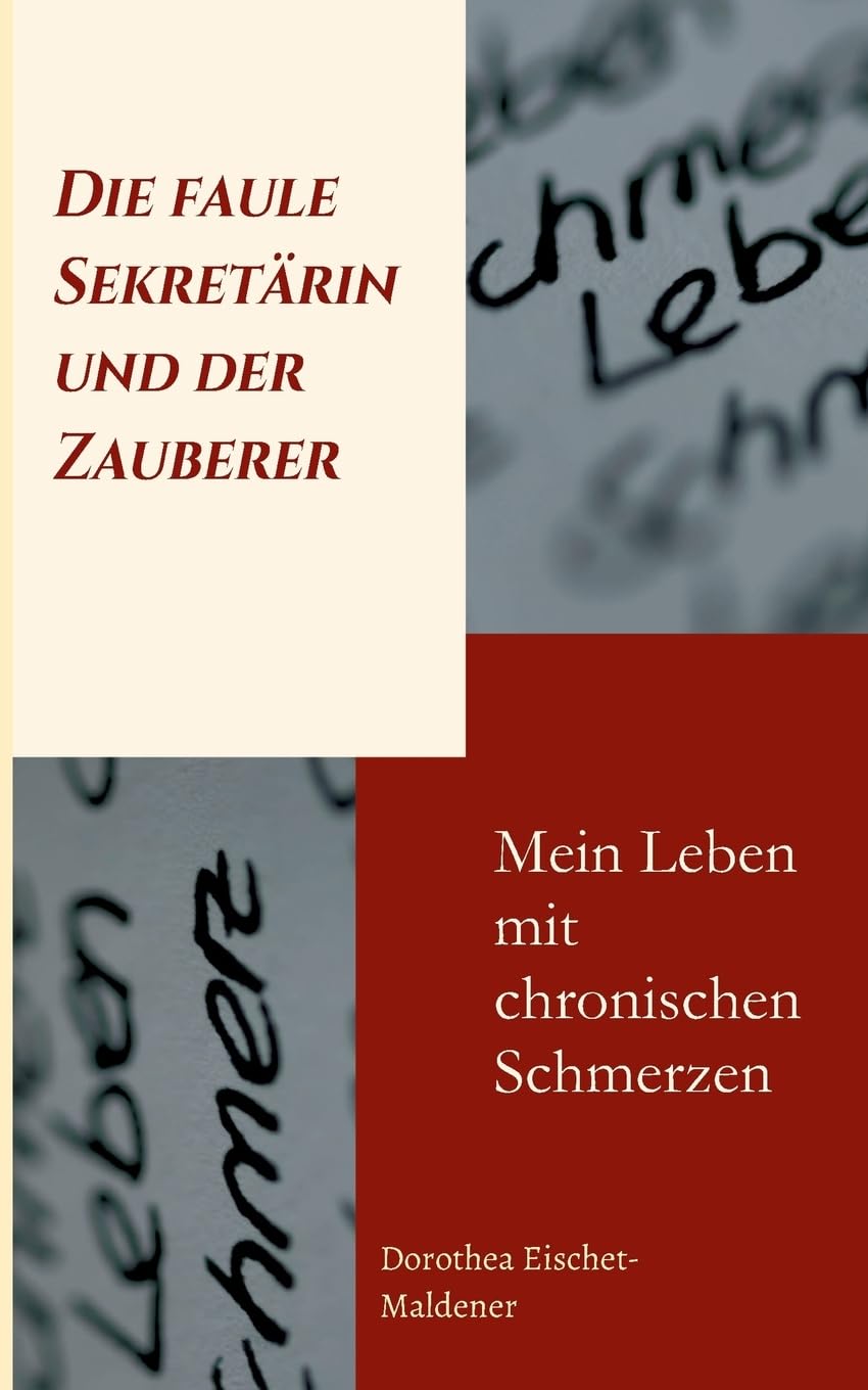 Die faule Sekretärin und der Zauberer book