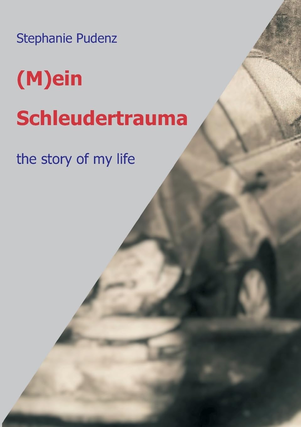 (M)ein Schleudertrauma: the story of my life Parents & Children