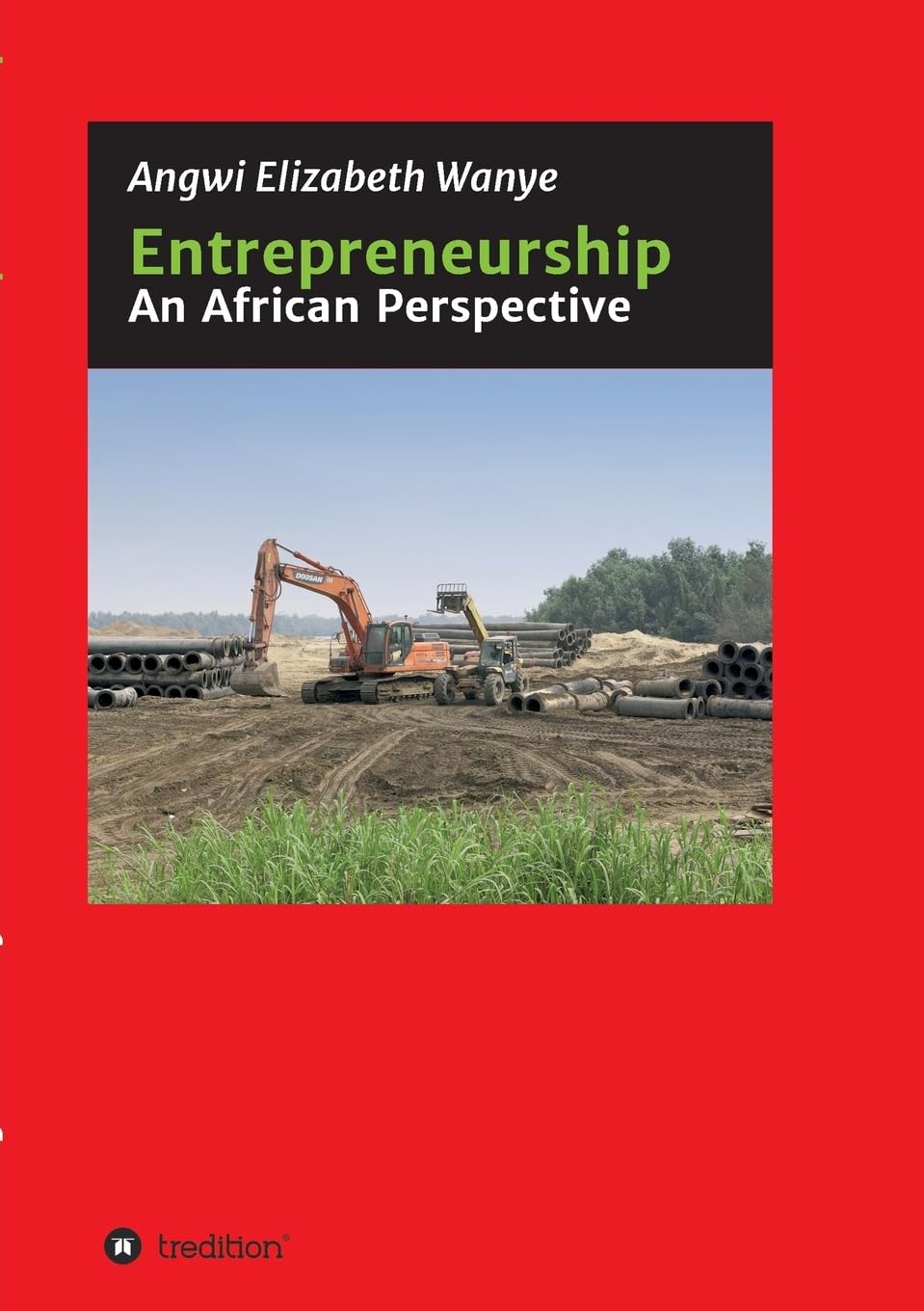 Entrepreneurship: An African Perspective Business, Finance & Career