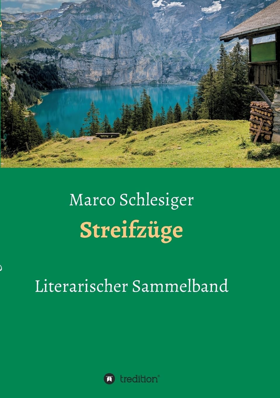 Streifzüge: Literarischer Sammelband Poetry