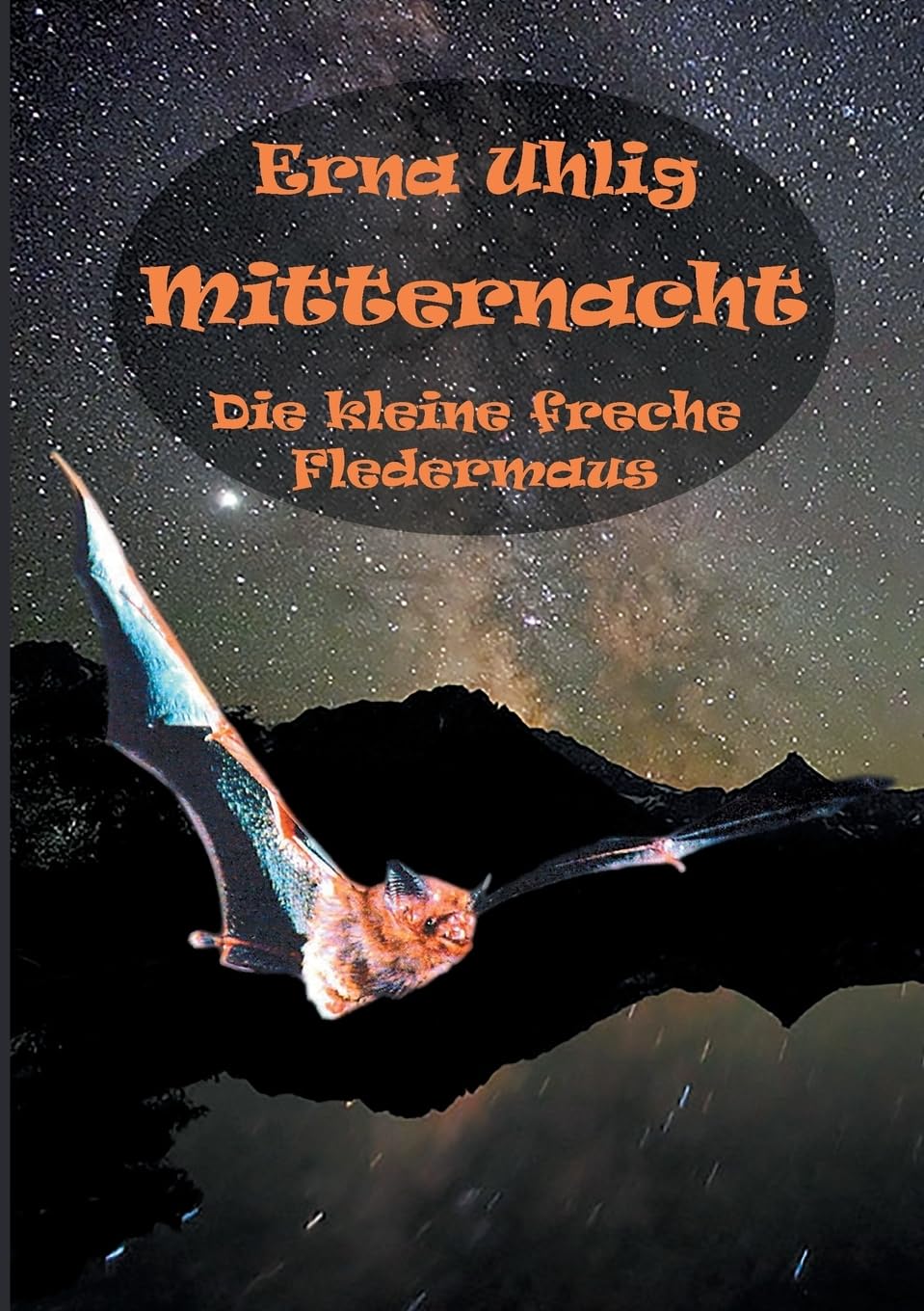 Mitternacht: Die kleine freche Fledermaus Contemporary literature