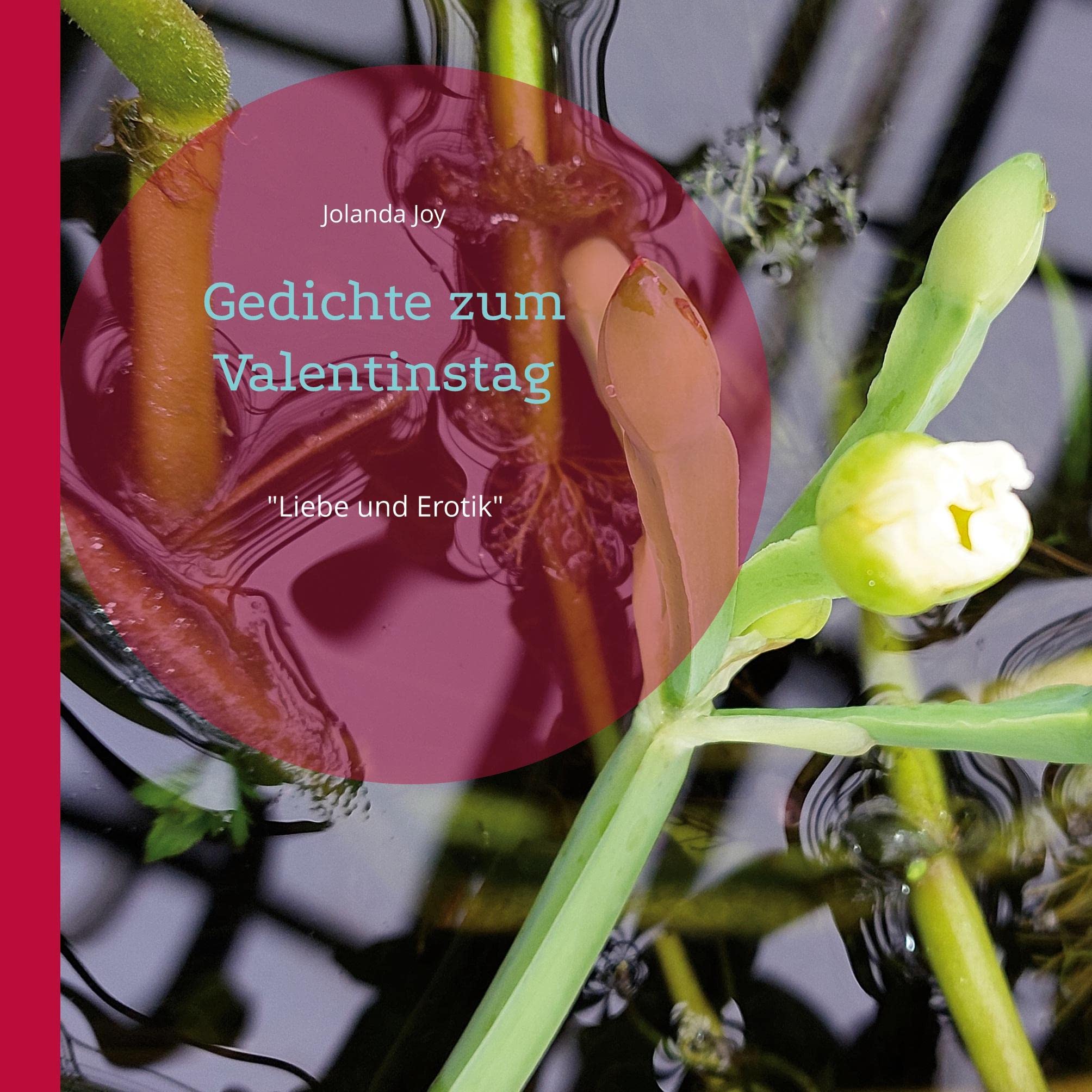 Product Image: Gedichte zum Valentinstag