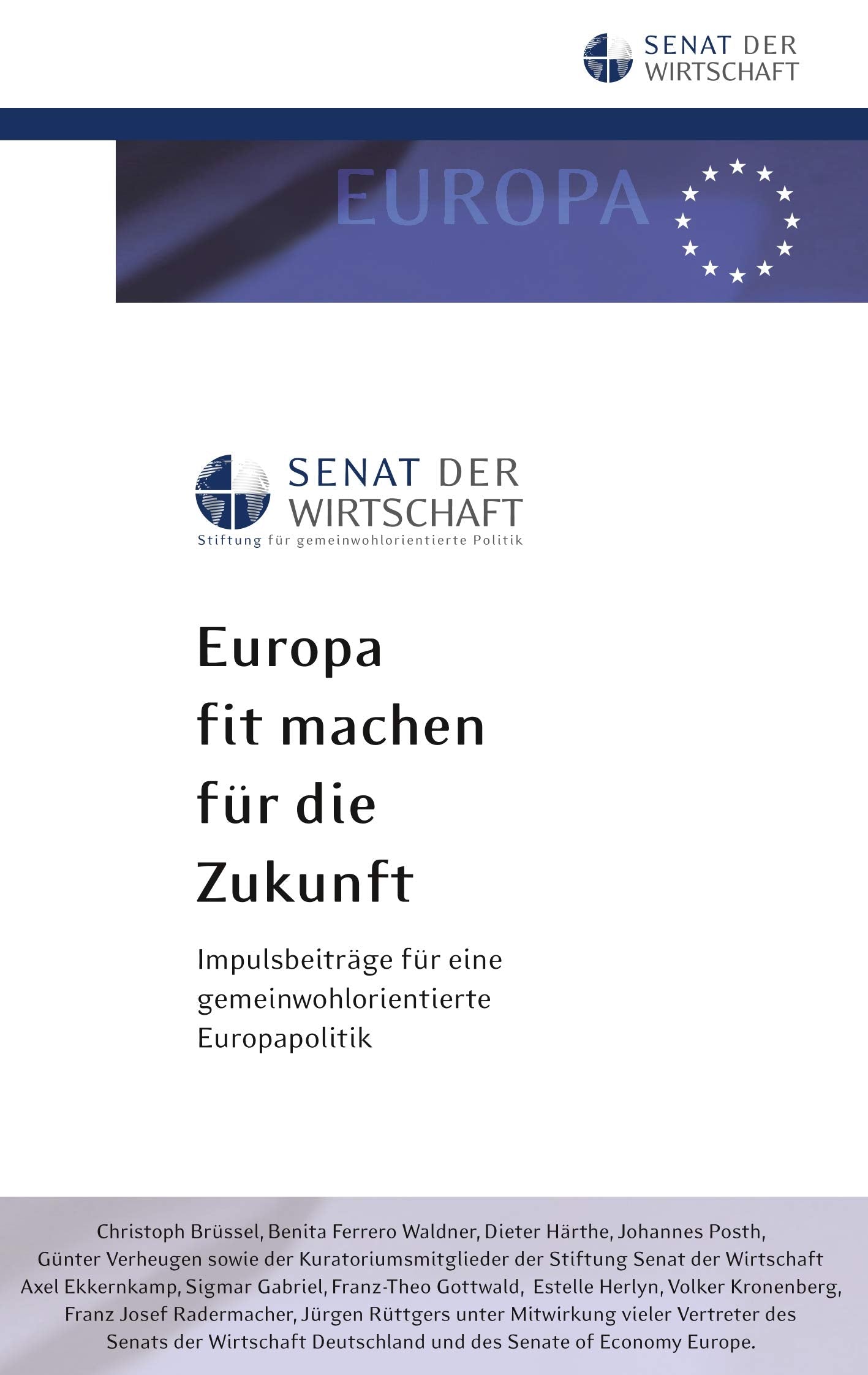 Europa fit machen für die Zukunft: Impulsbeiträge für eine gemeinwohlorientierte Europapolitik Law