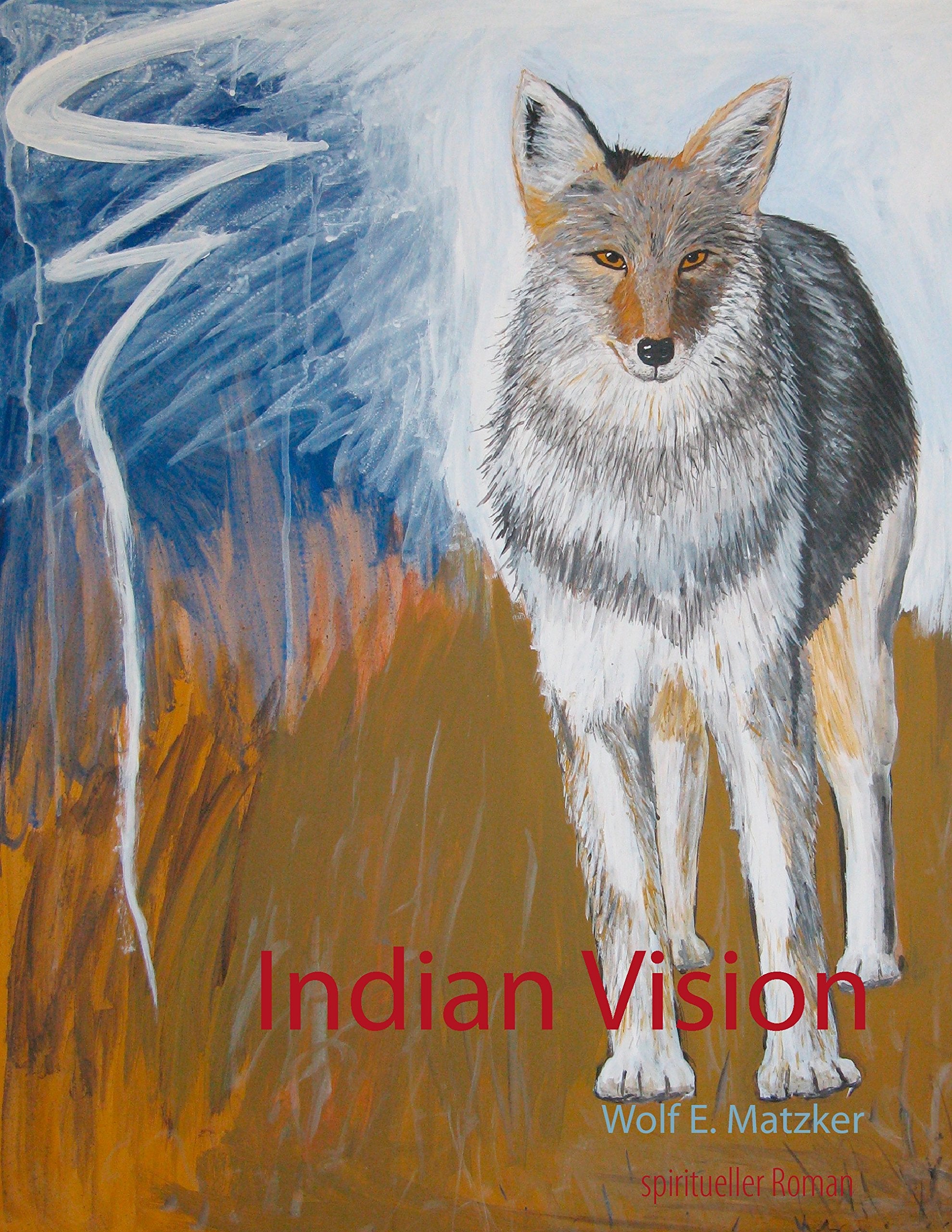 Indian Vision Contemporary literature